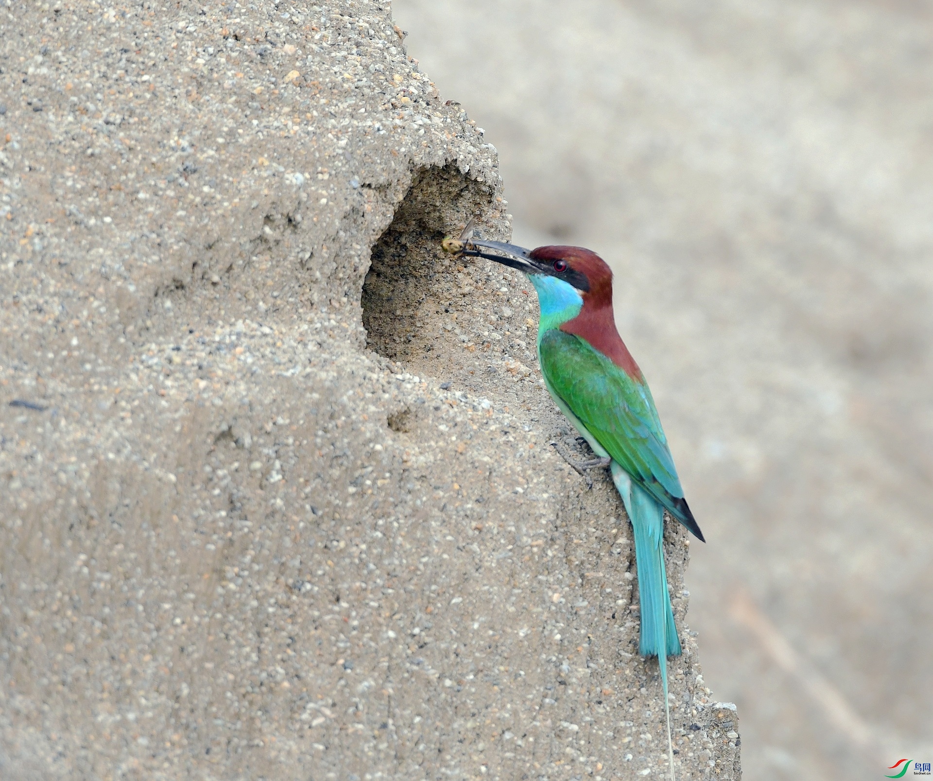 DSC_1566.jpg