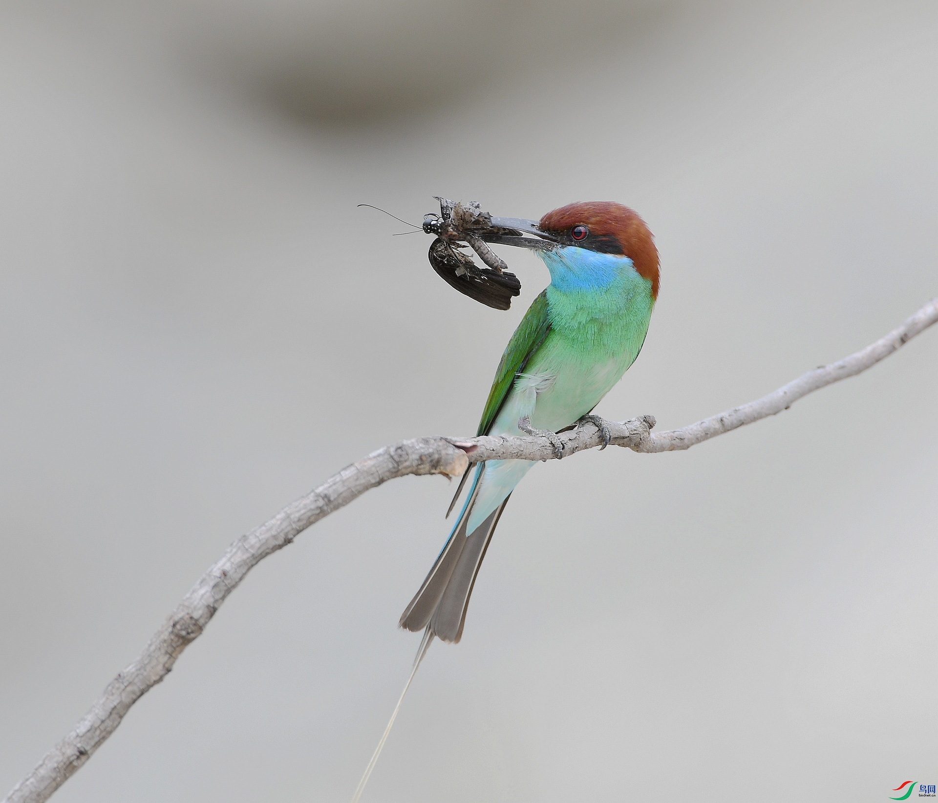 DSC_1752.jpg