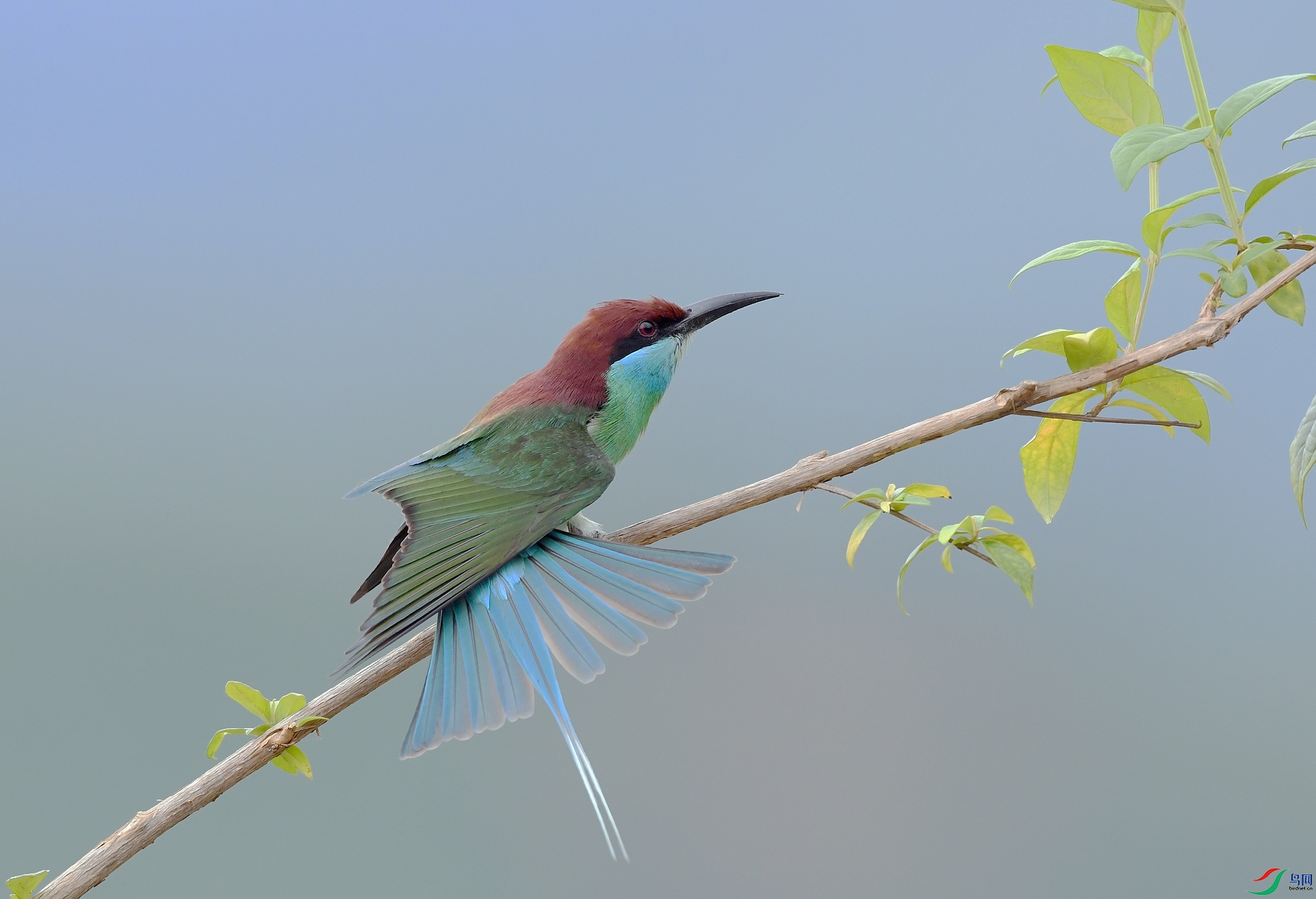 DSC_5494.jpg