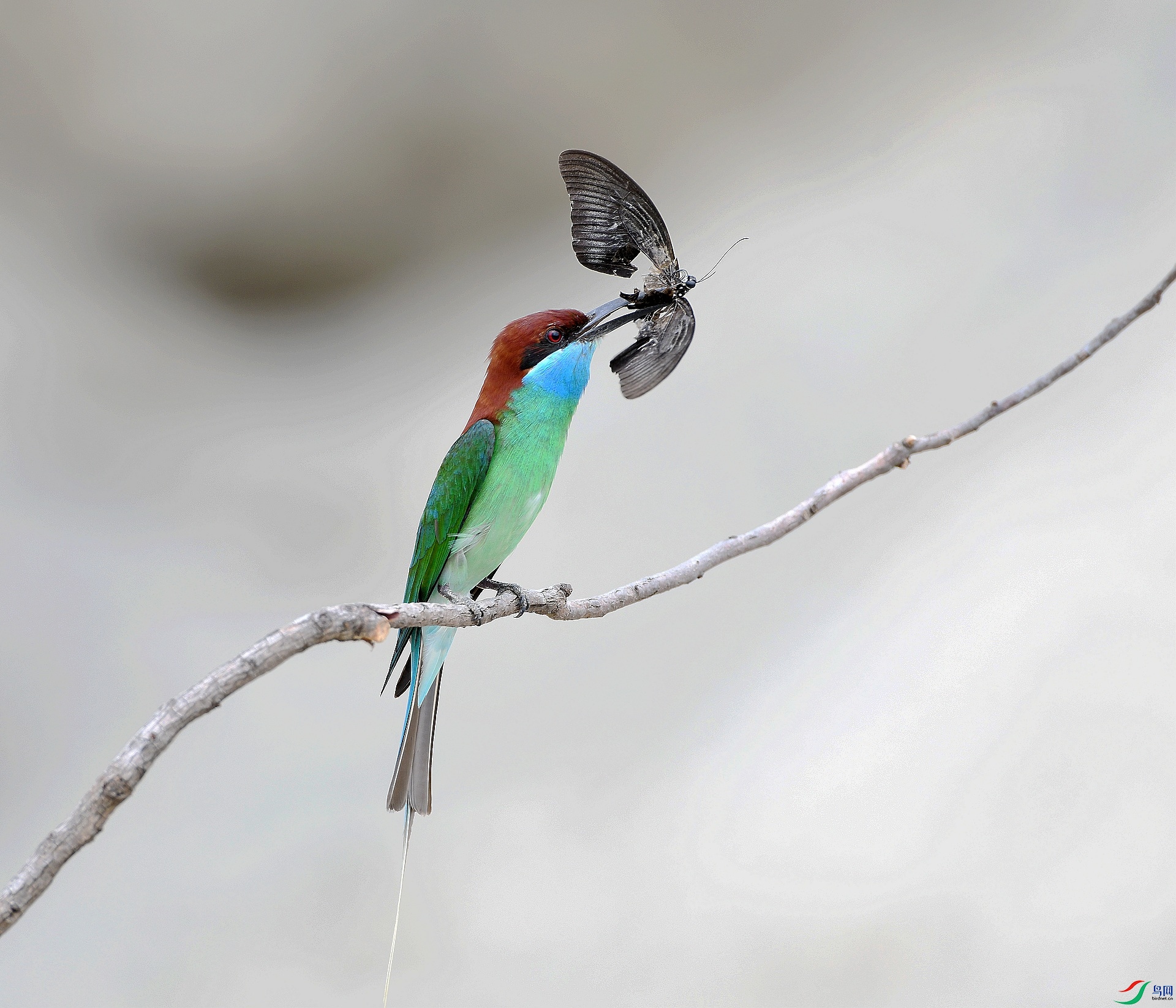 DSC_1763.jpg