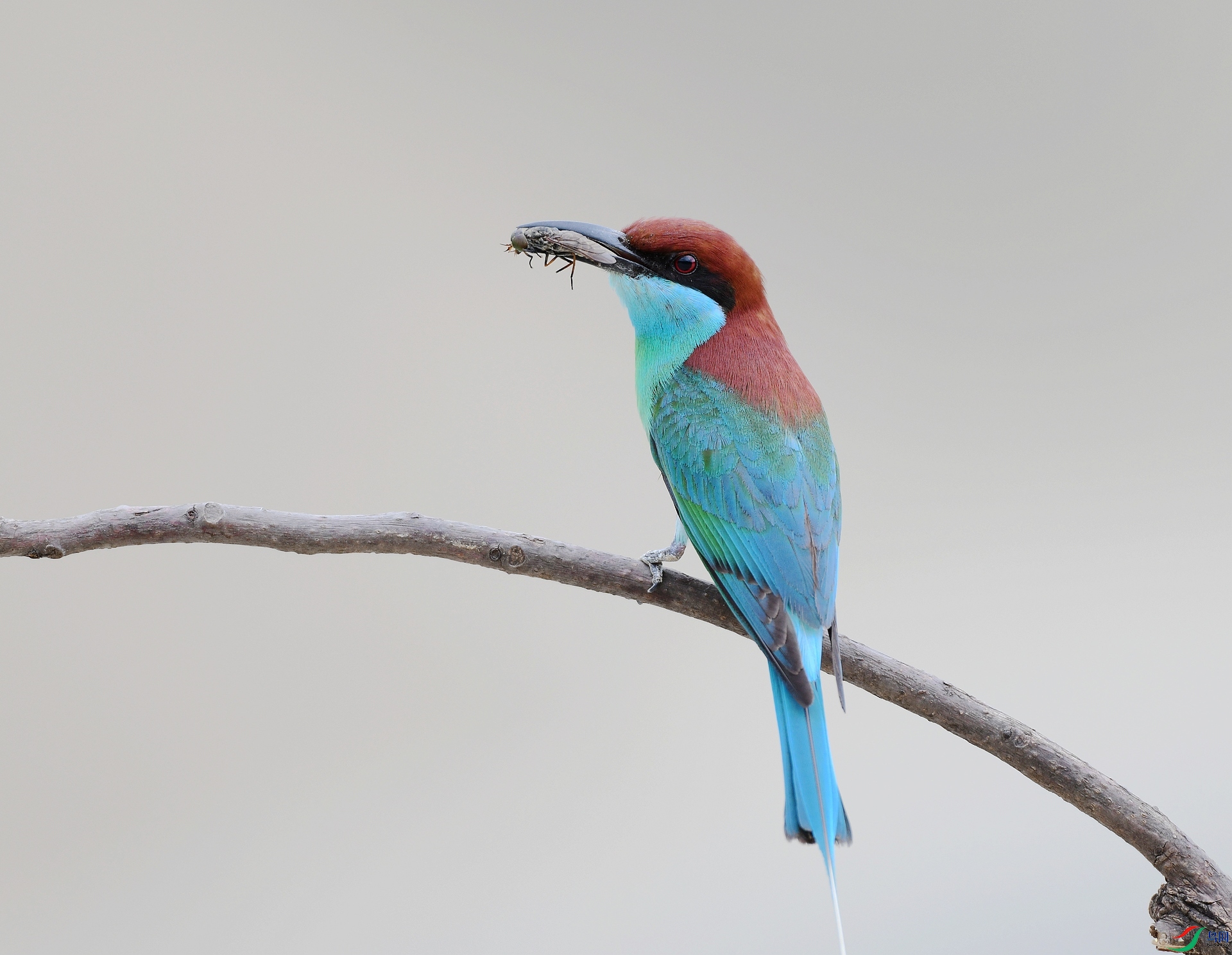 DSC_0265.jpg