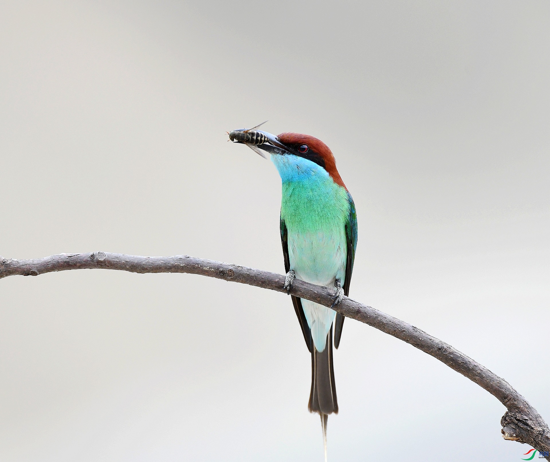 DSC_0317.jpg