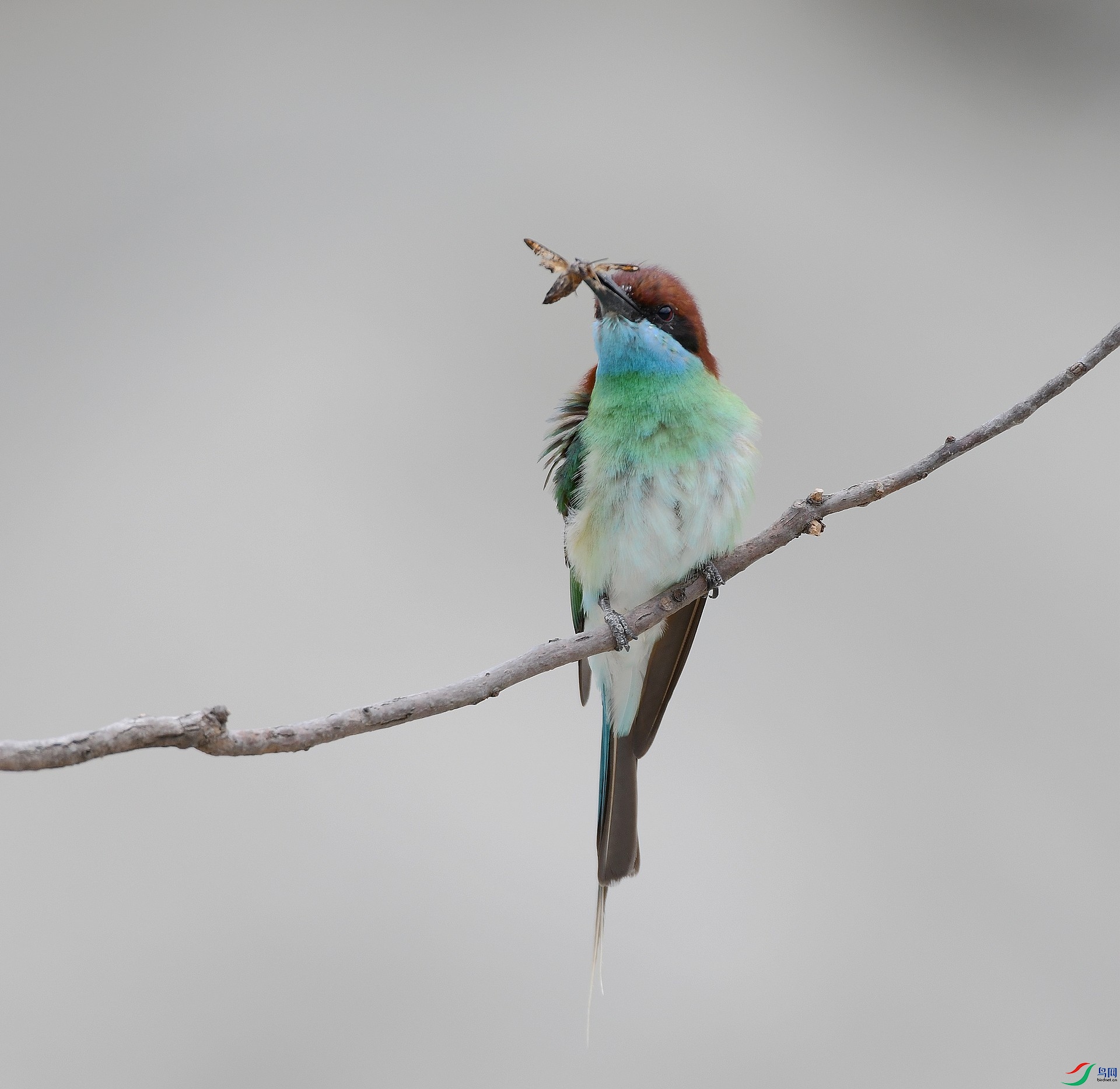 DSC_0187.jpg
