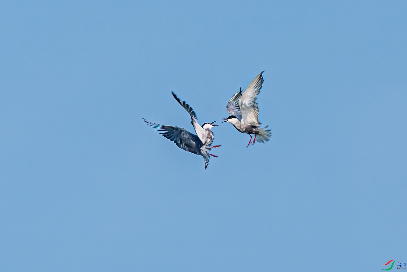 DSC_3513-11.jpg