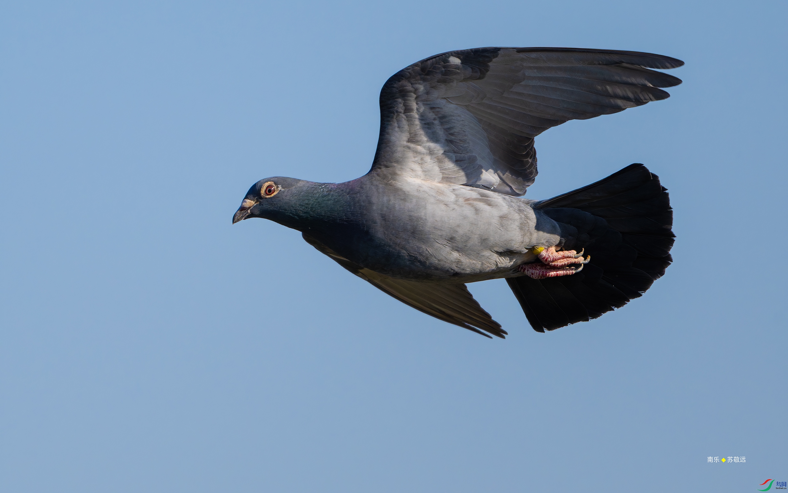 _DSC3928-DxO_С.jpg