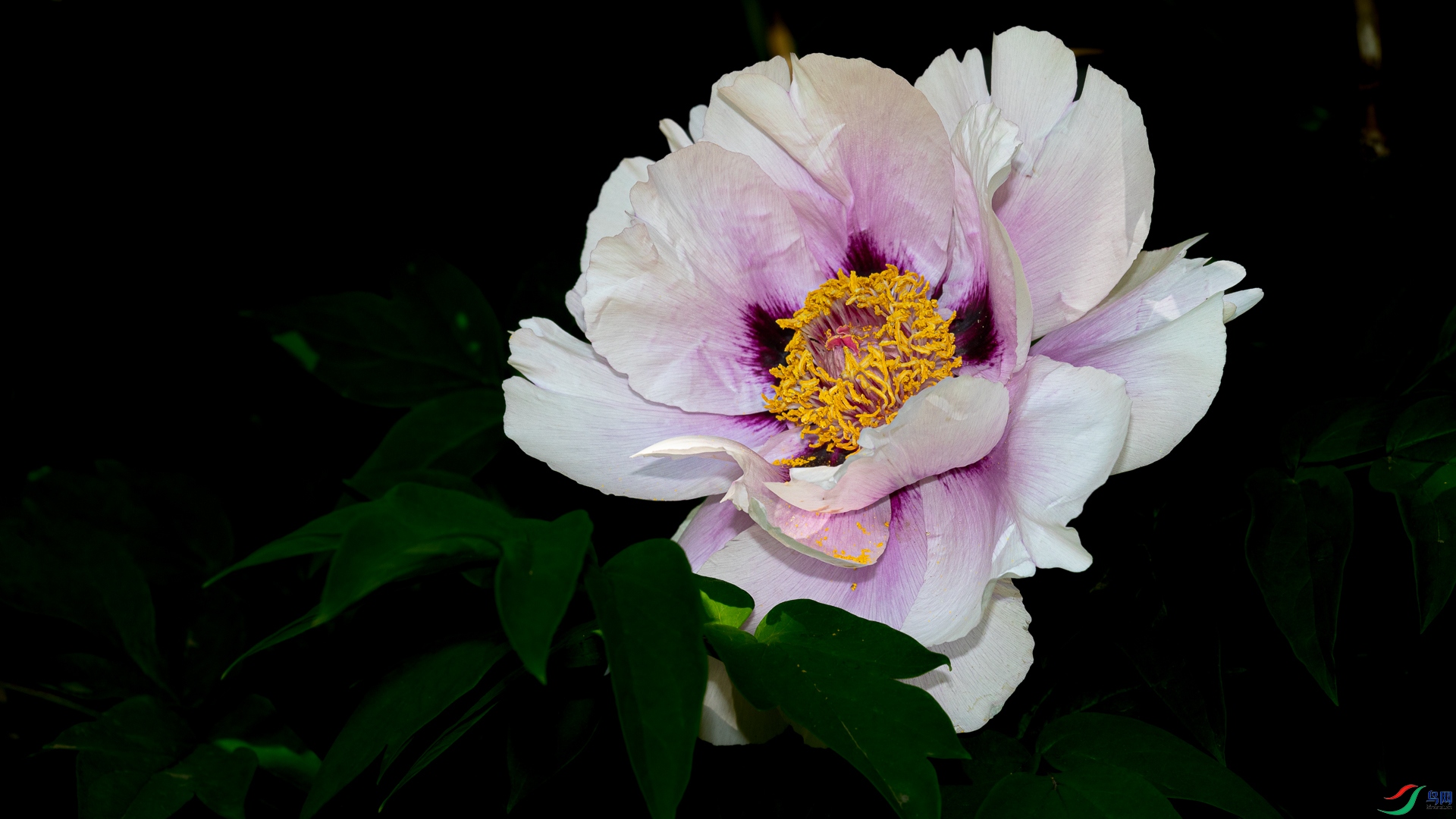 9O2A9256.jpg