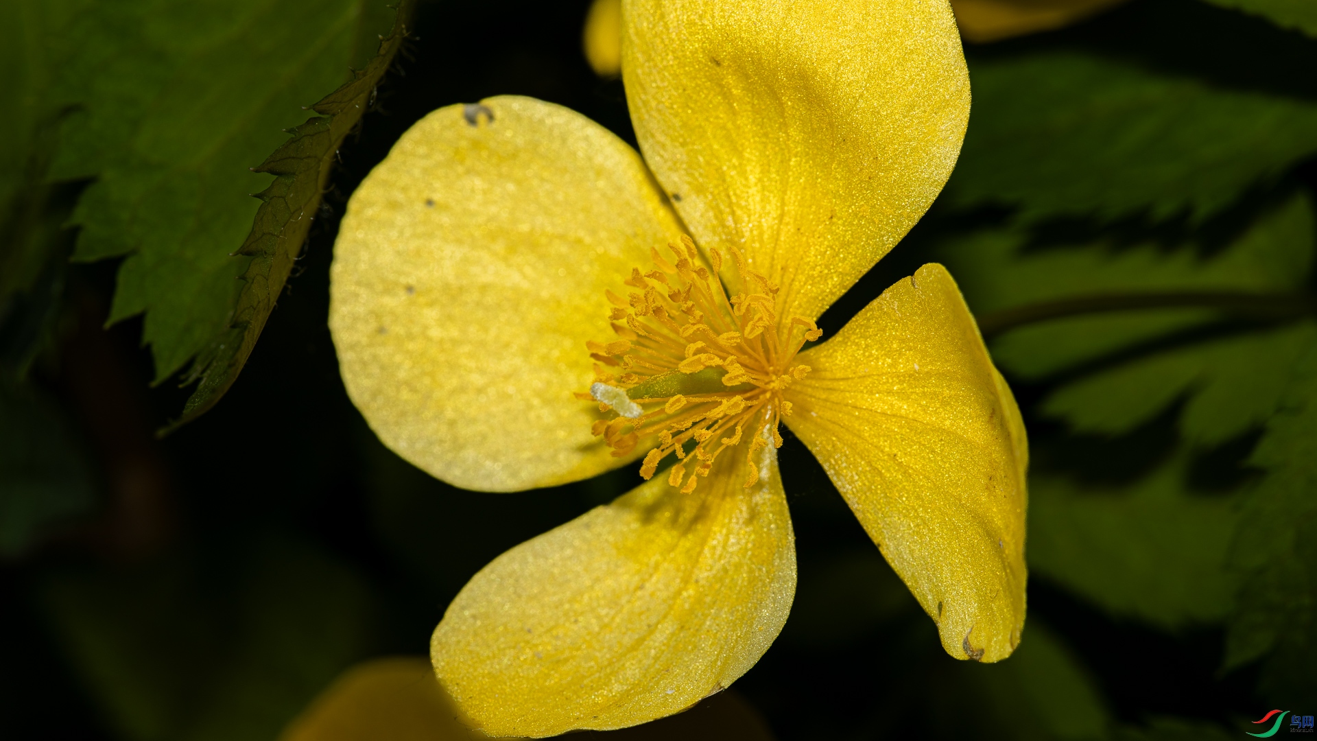 9O2A9291.jpg