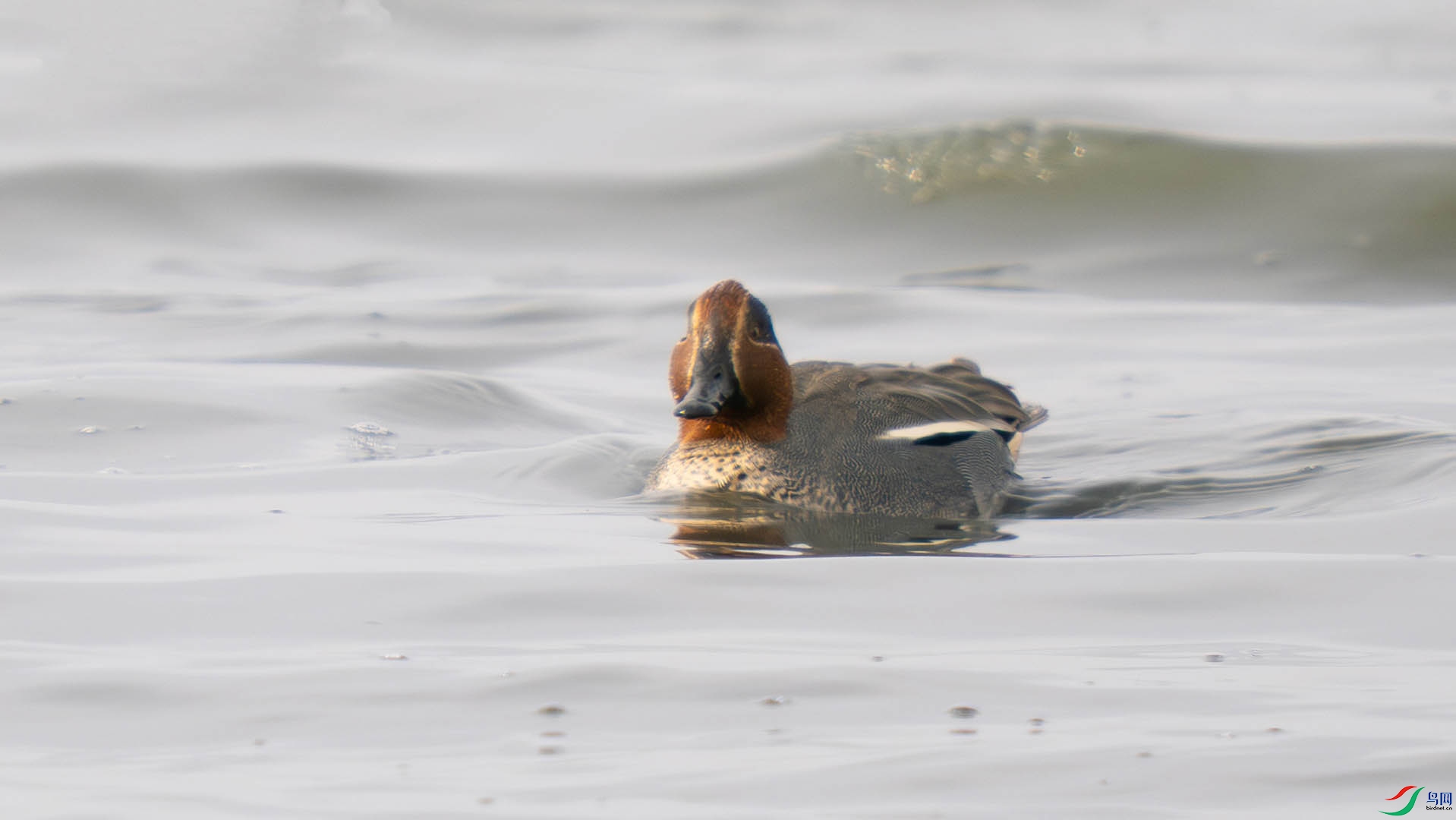 S1007419.jpg