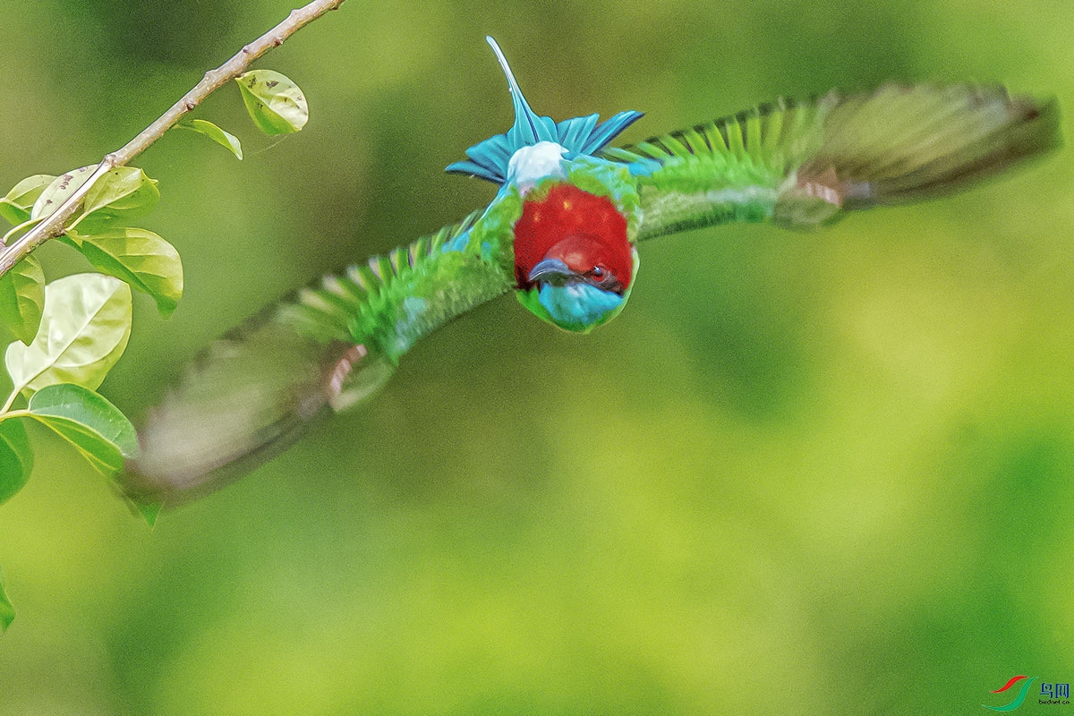 DSC_0418-����ǿ.jpg