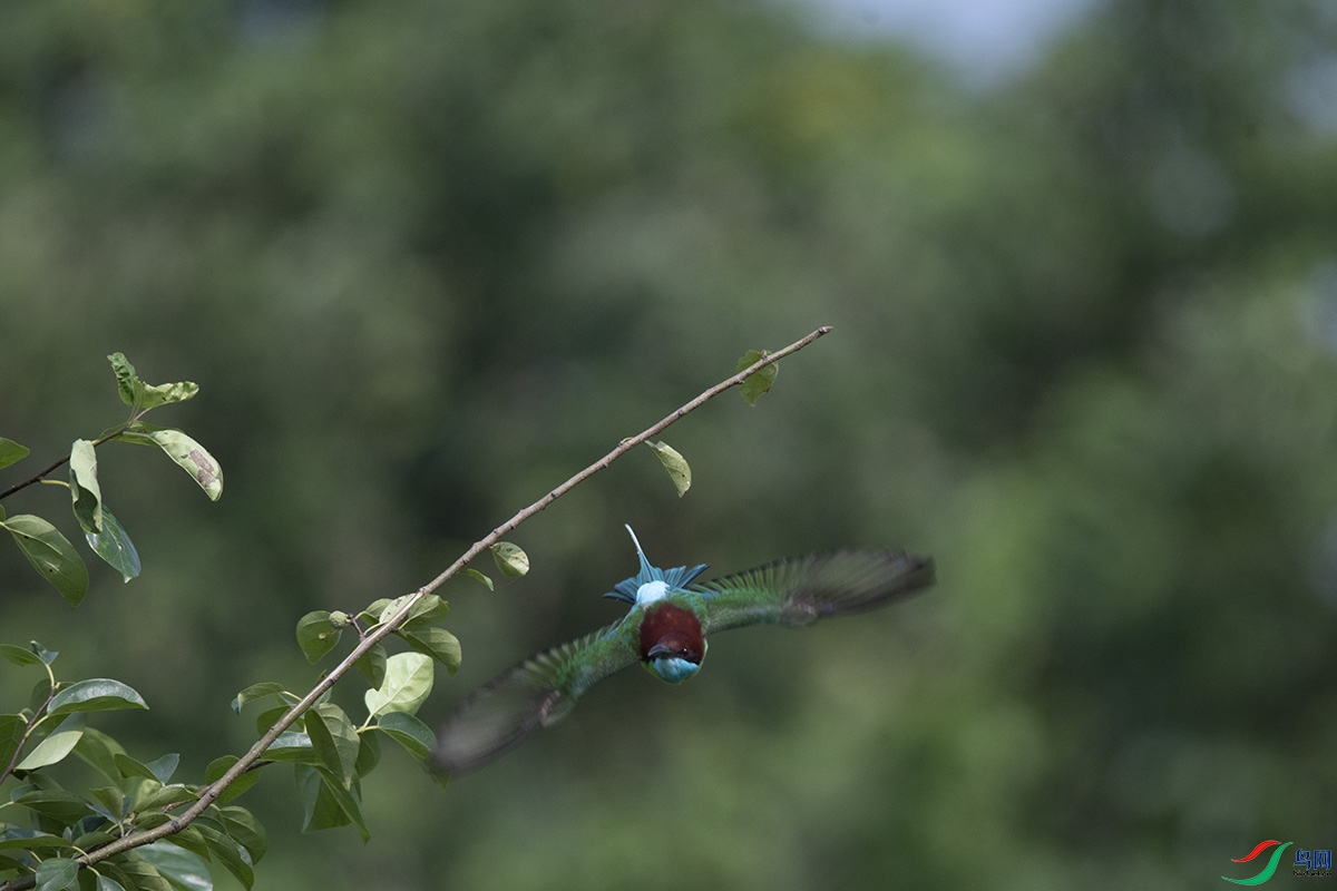 DSC_0418.jpg