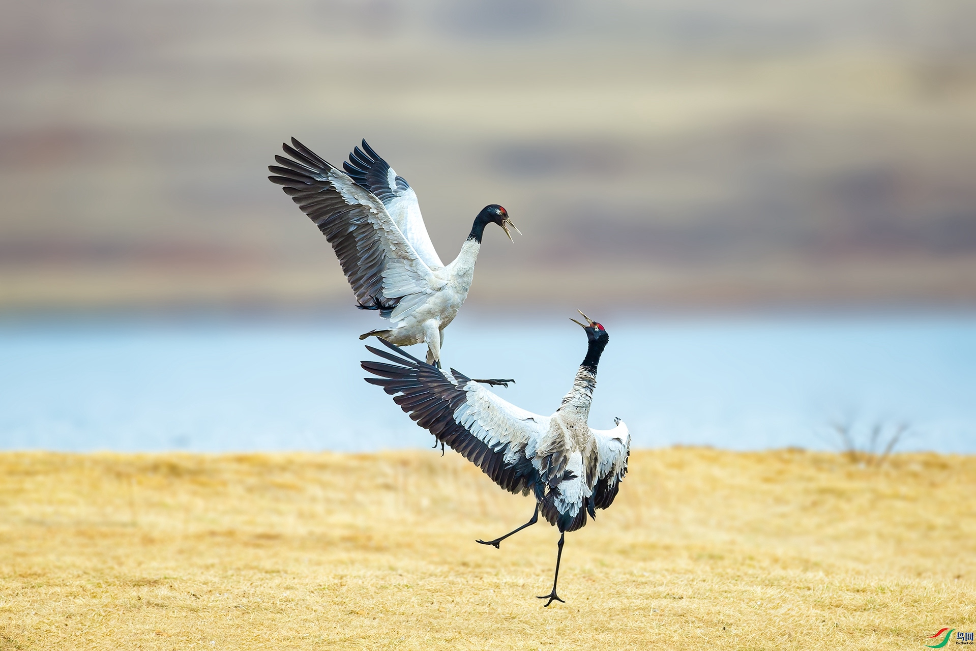 DX3W5538-5.jpg