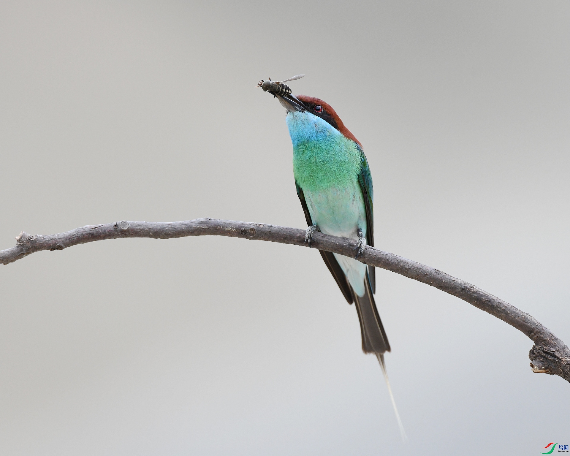 DSC_0339.jpg