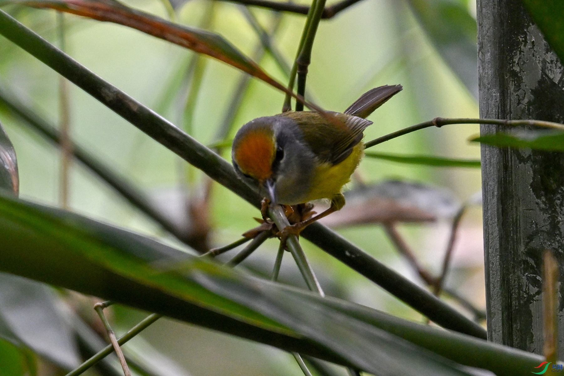 DSC_5886.JPG