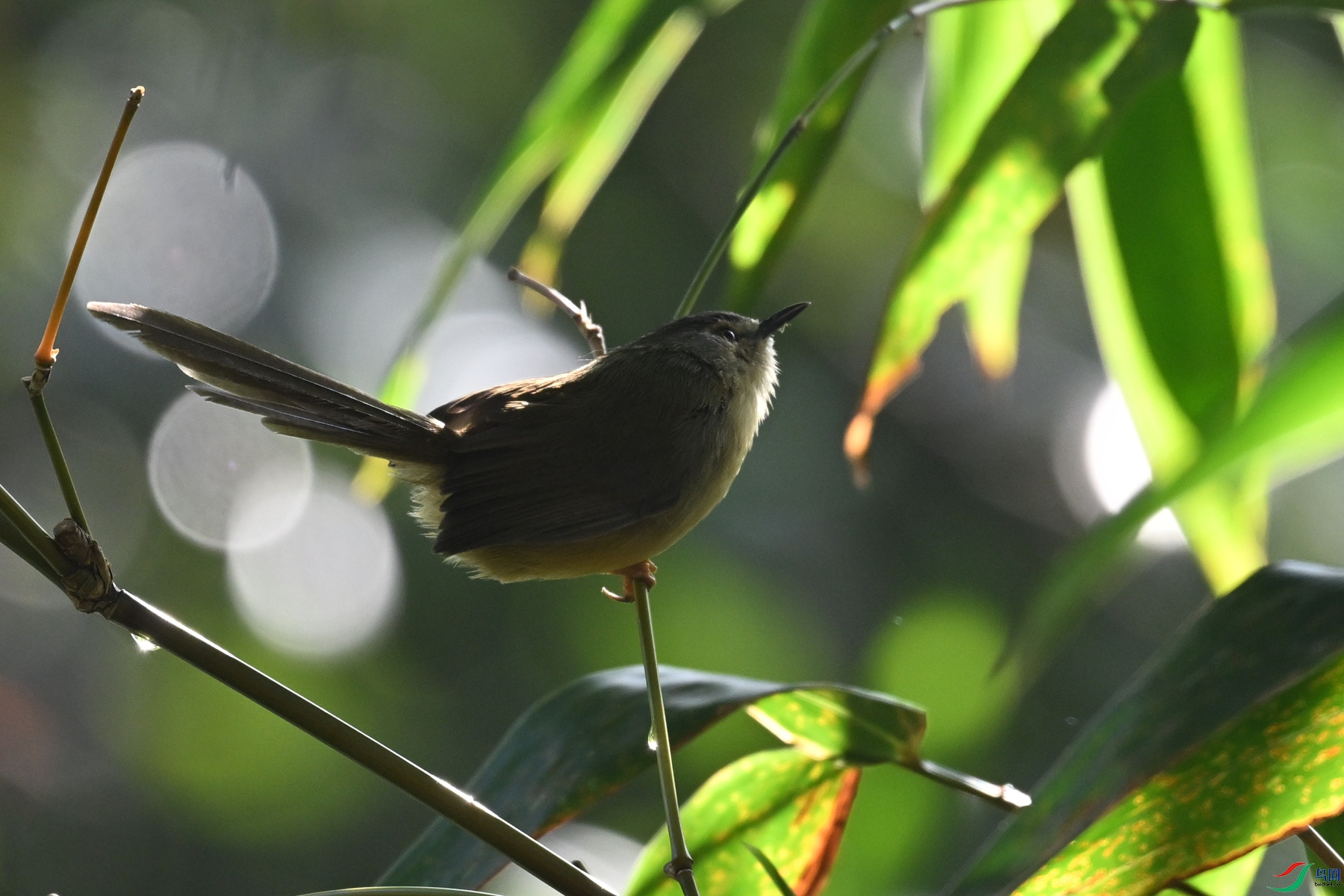 DSC_5884.JPG