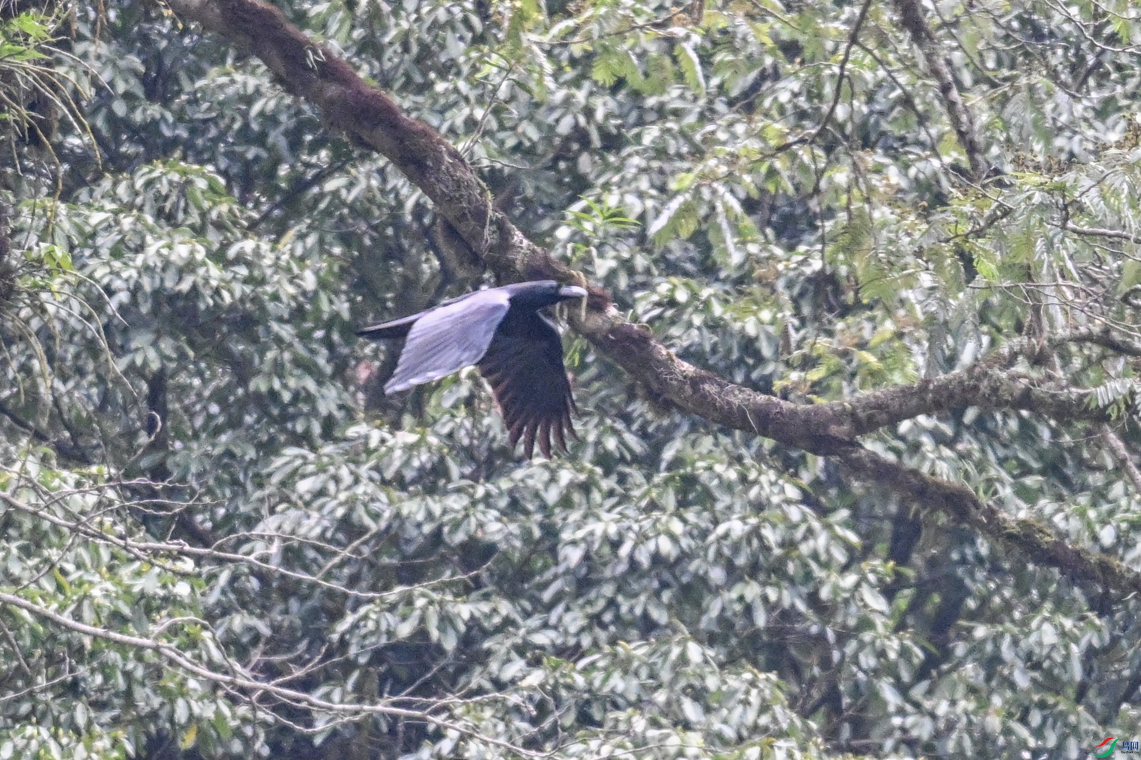 DSC_9729.JPG