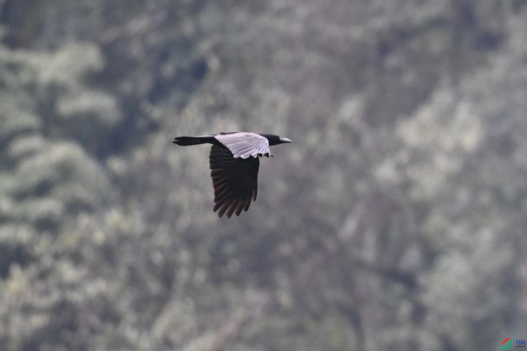 DSC_9741.JPG