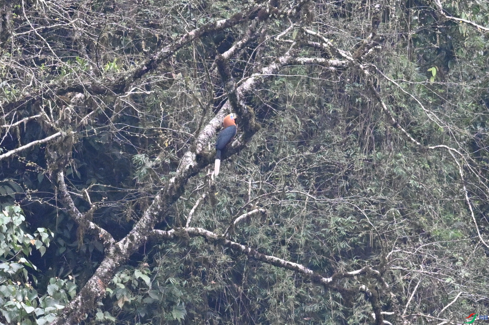 DSC_9750.JPG