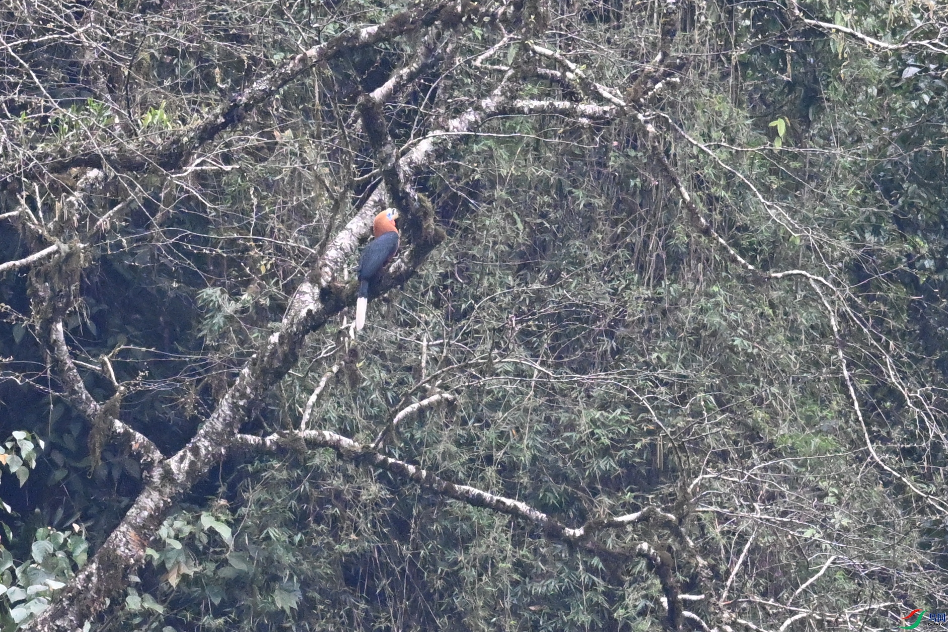 DSC_9751.JPG