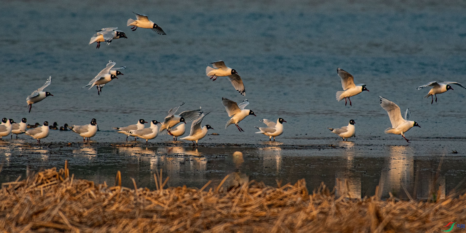 DSC_7850.jpg