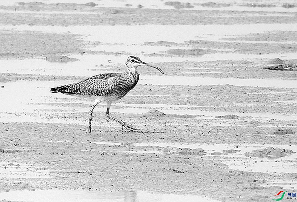 2026-416������.JPG