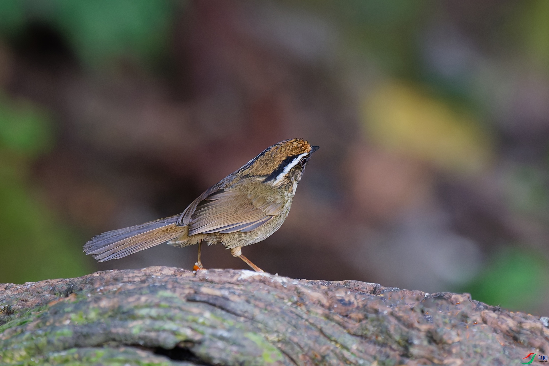 4DSC_1513_DxO_DxOa.jpg