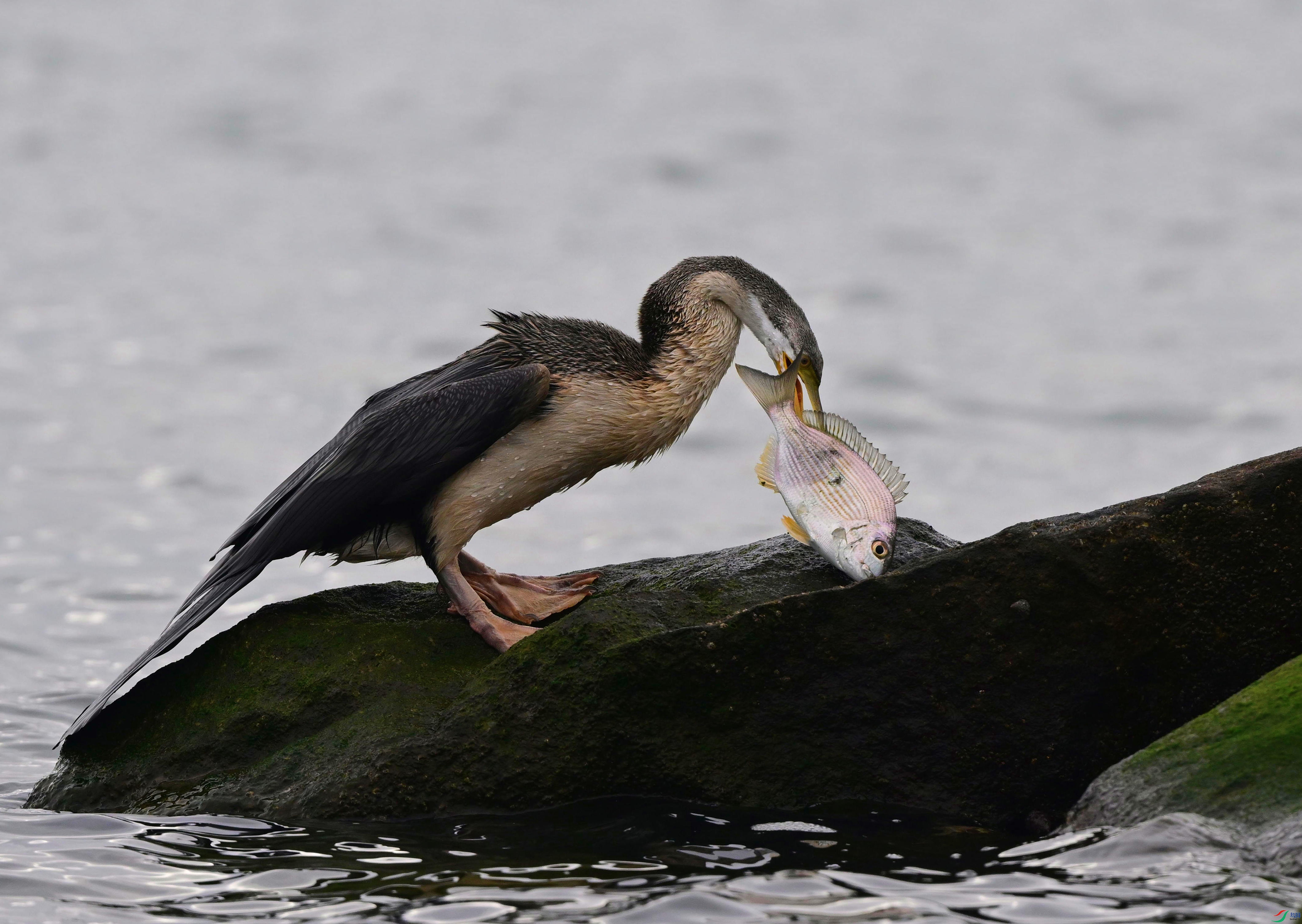 DSC_5406_��ͼ��_����.jpg