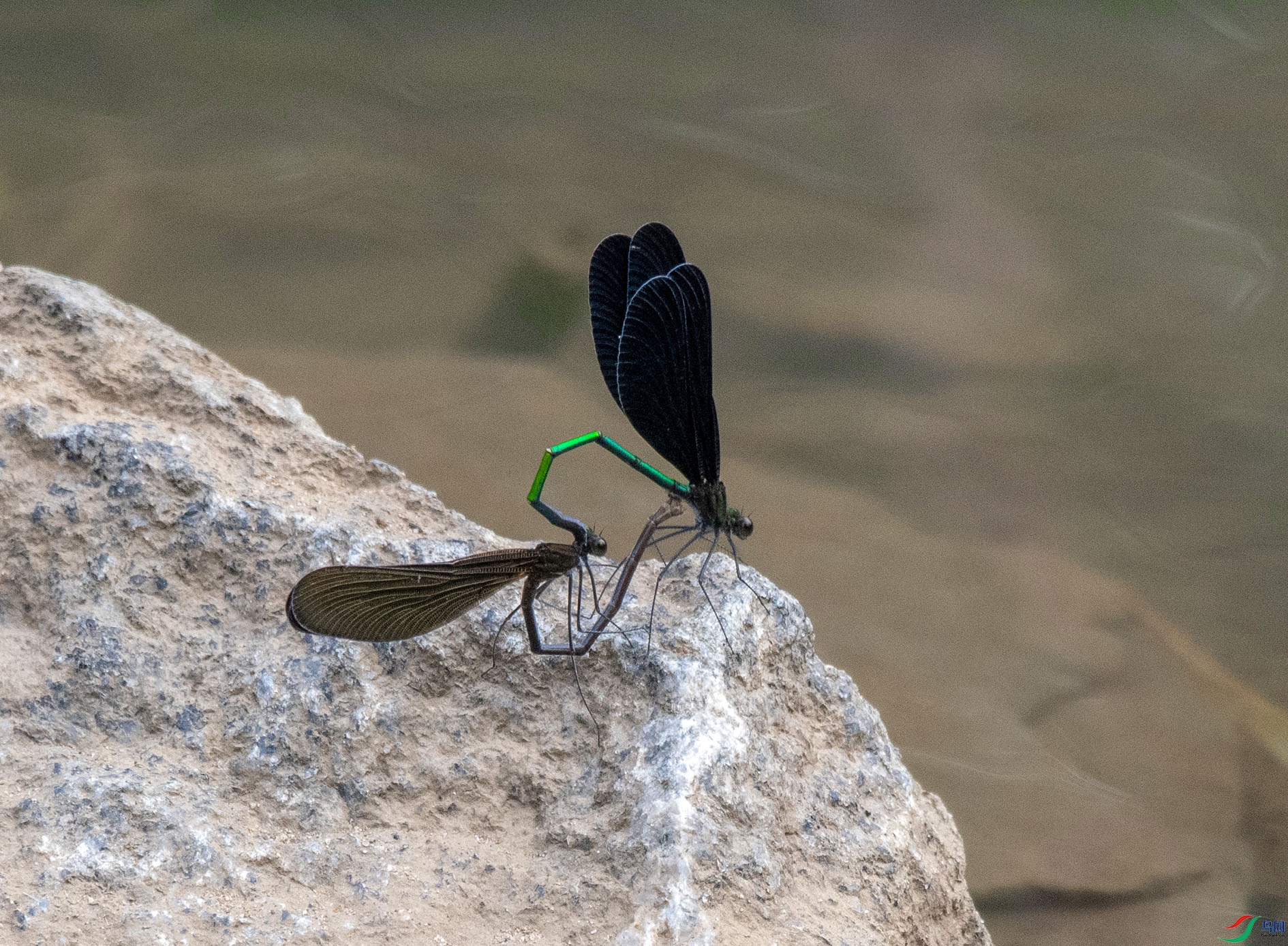 DSC_0852_��ͼ�� ����.jpg