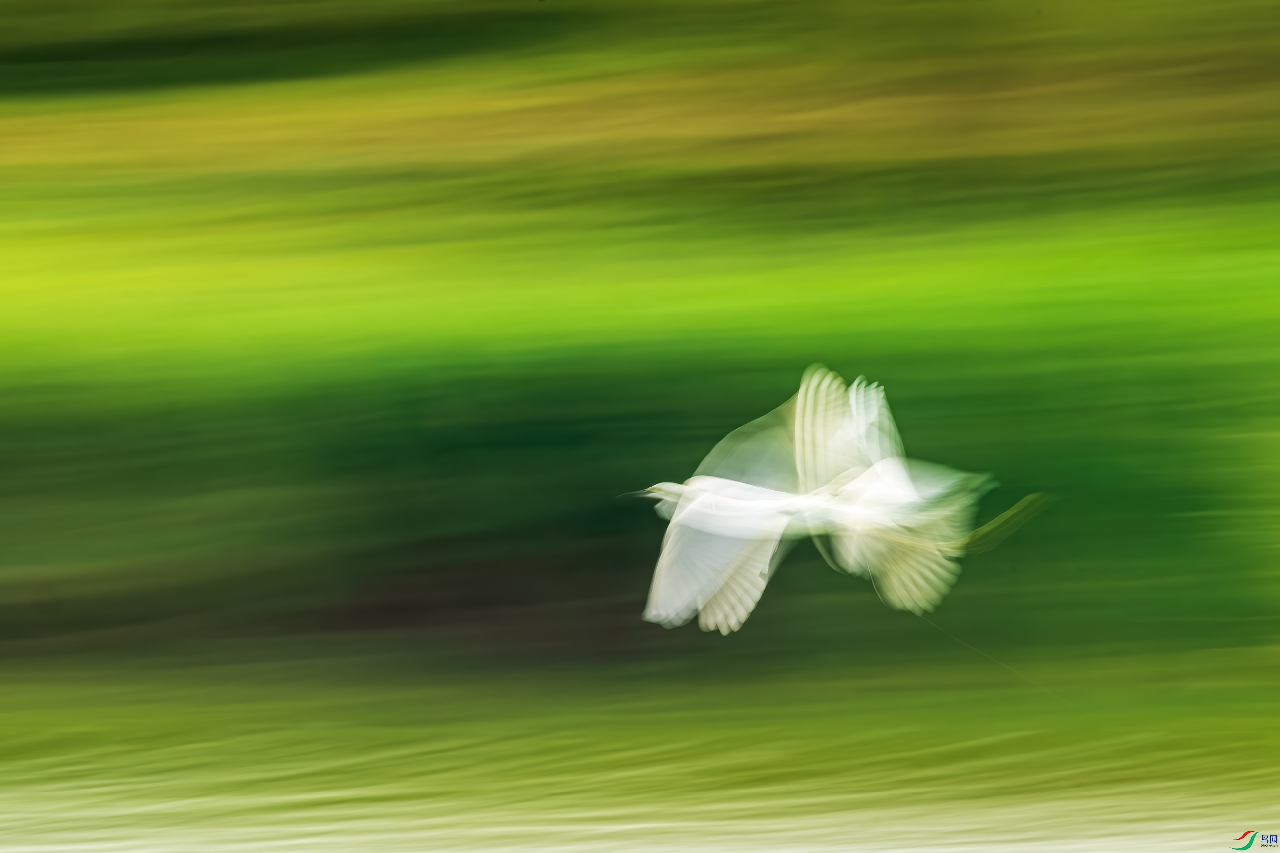 DSC06094a_����.jpg