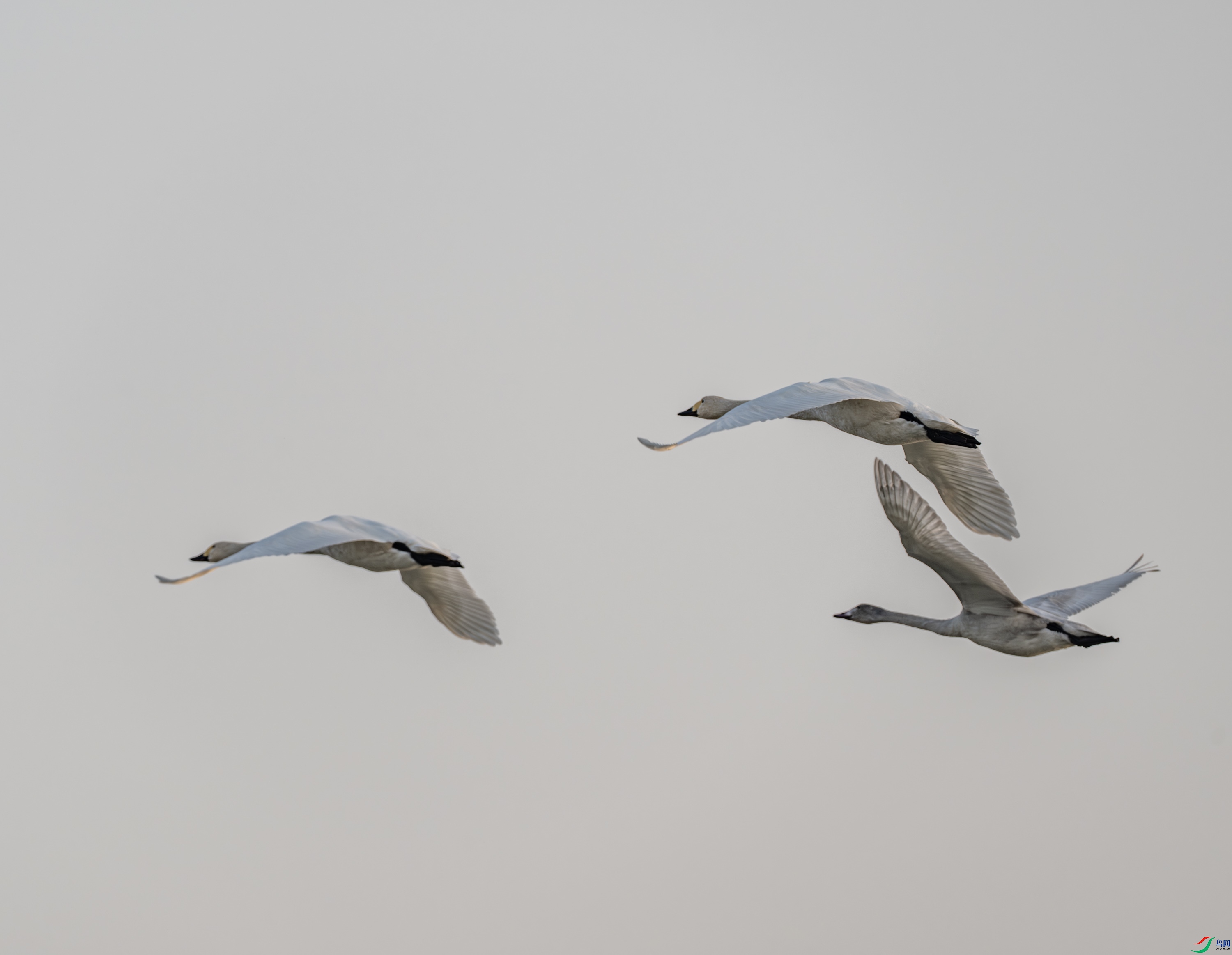 �����-03-6.jpg