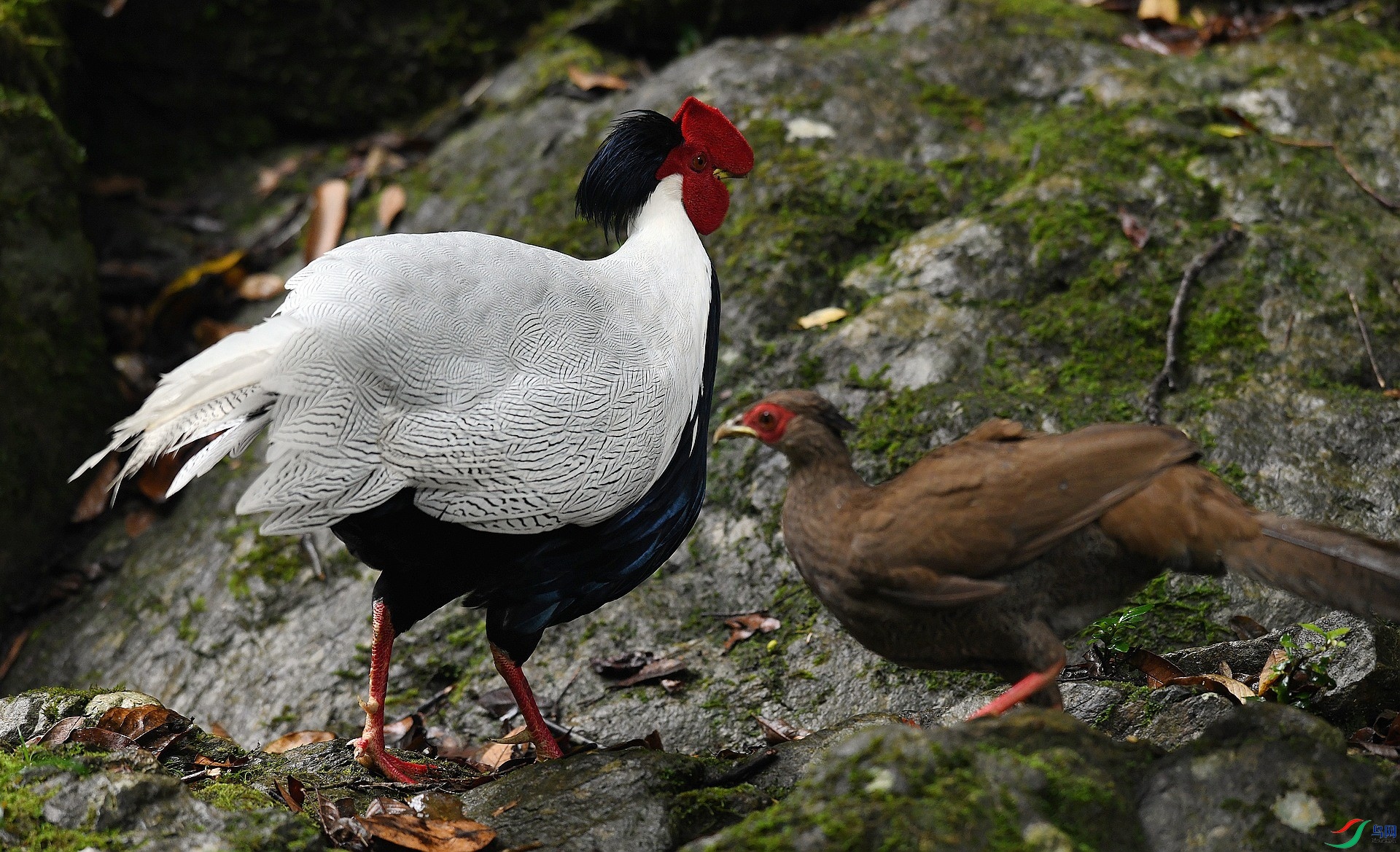 DSC_5941.jpg