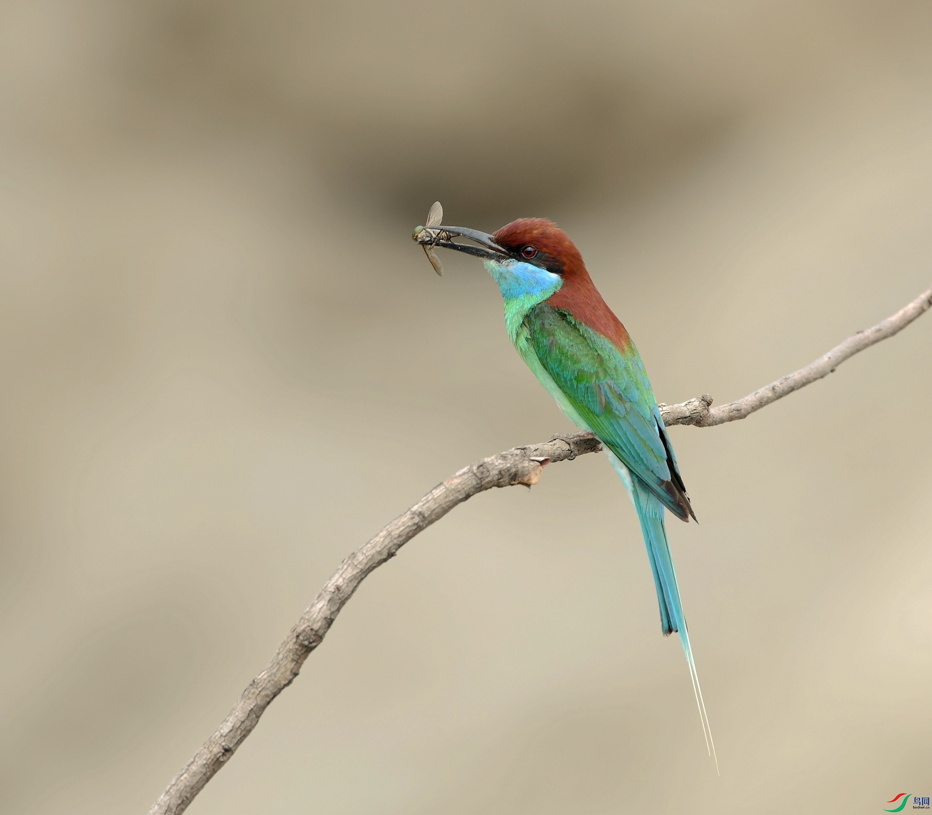 DSC_5805.jpg