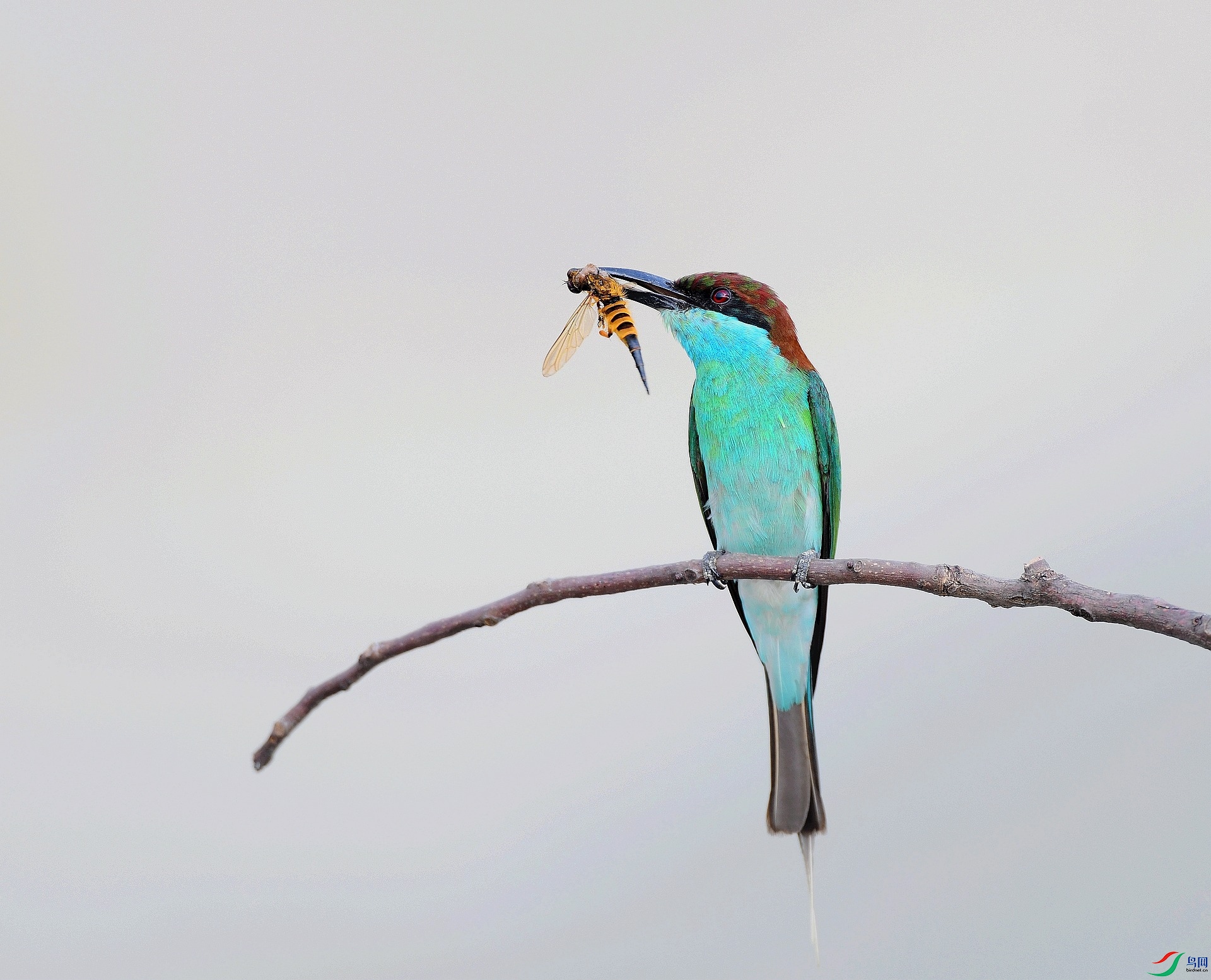 DSC_0534.jpg
