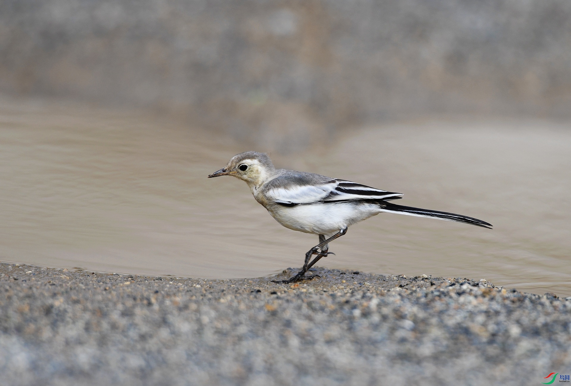 DSC_5794.jpg