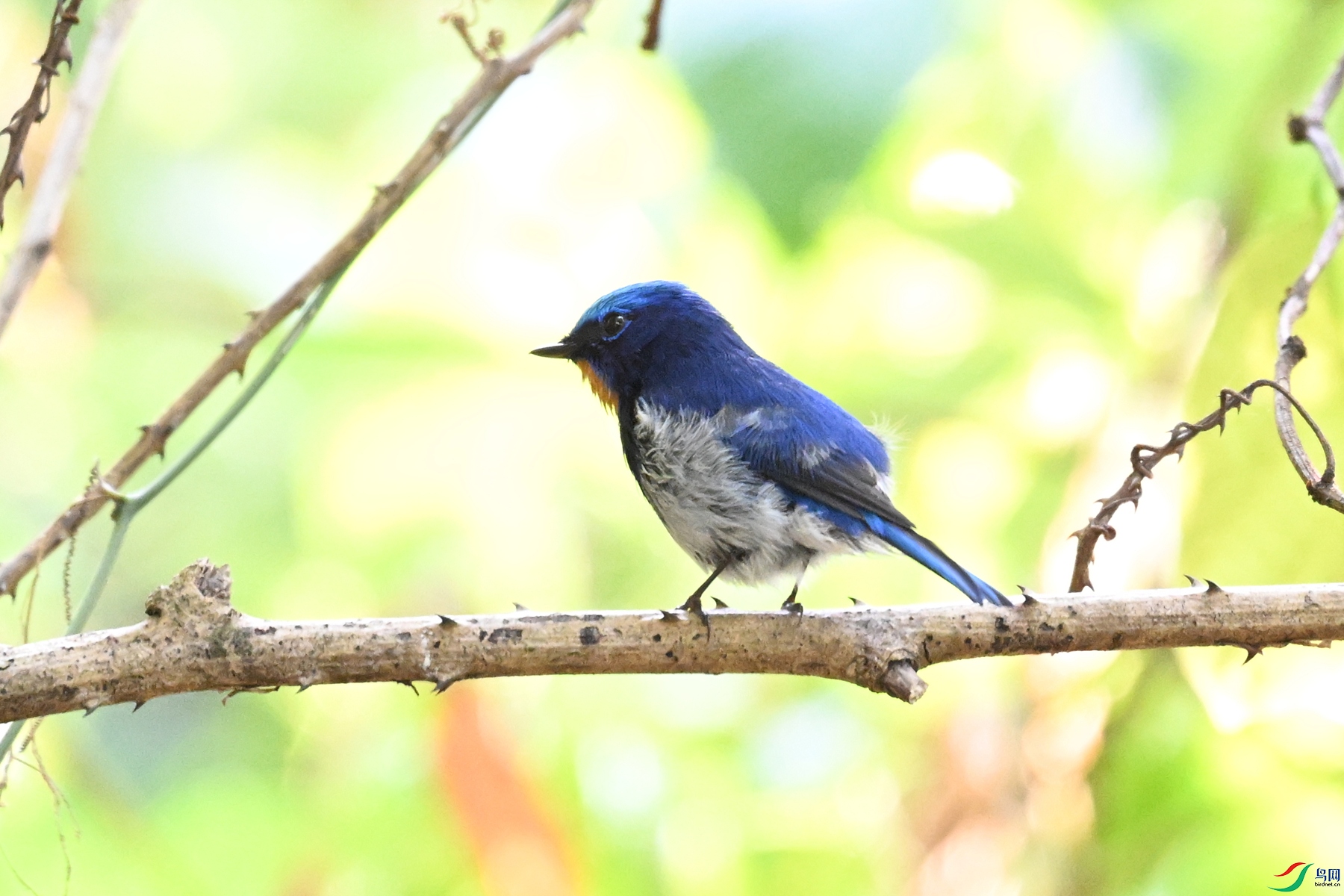 DSC_5595.JPG