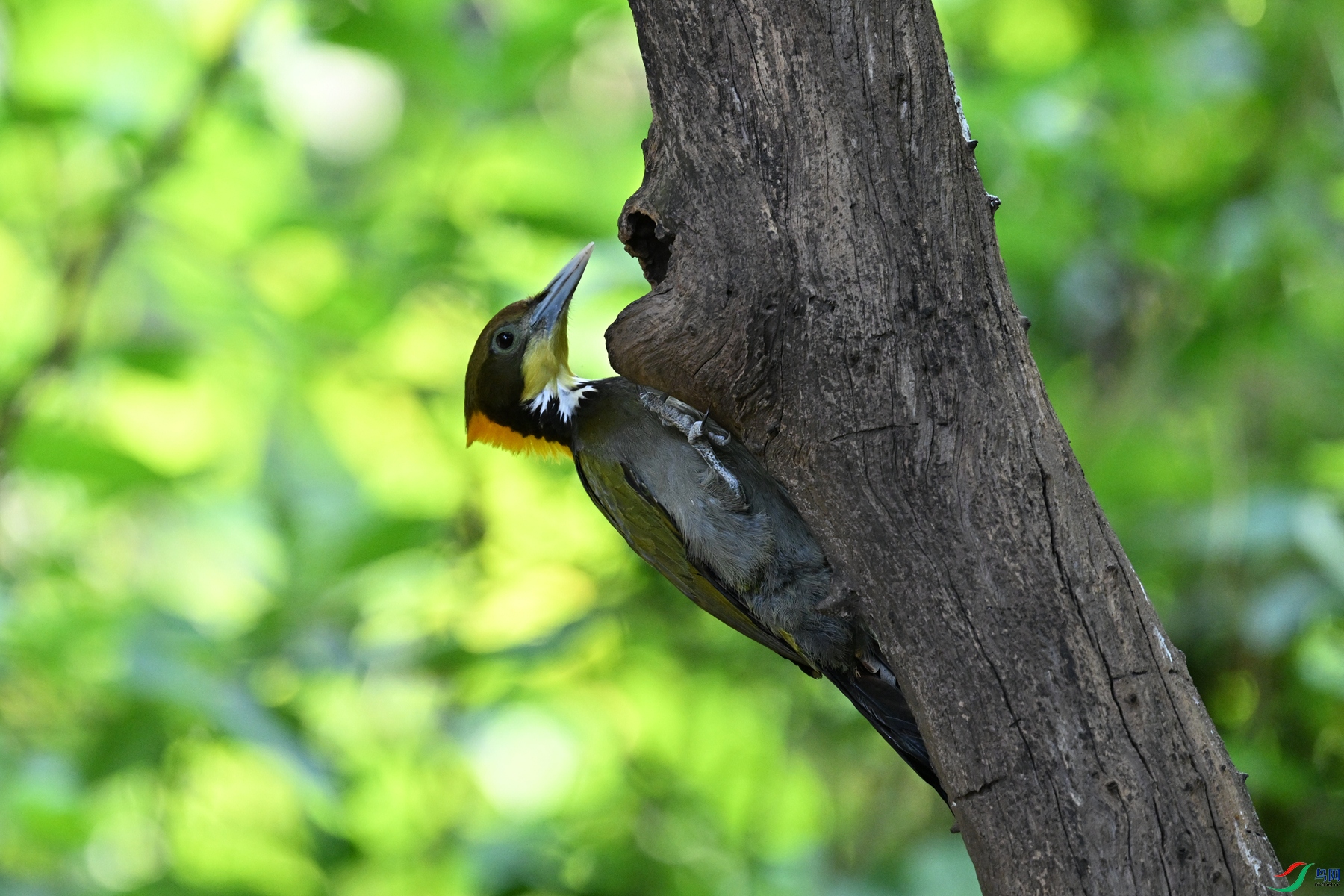 DSC_5601.JPG