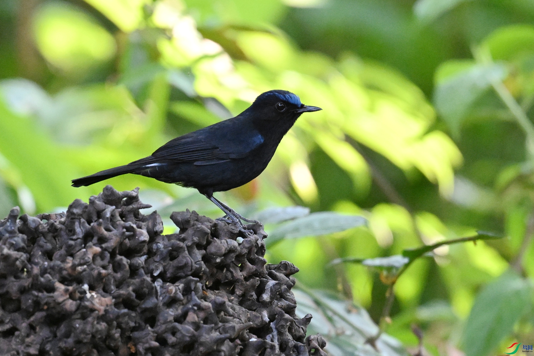DSC_5657.JPG
