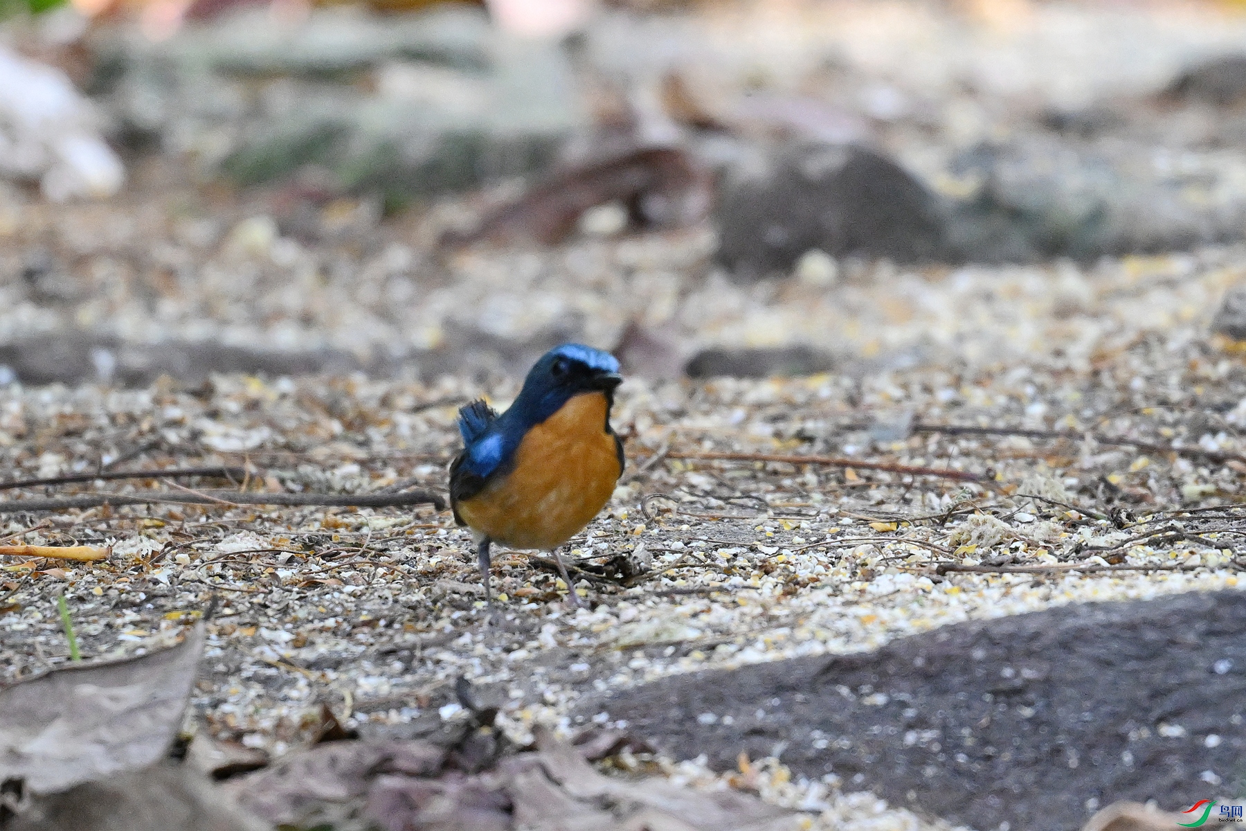 DSC_5634.JPG