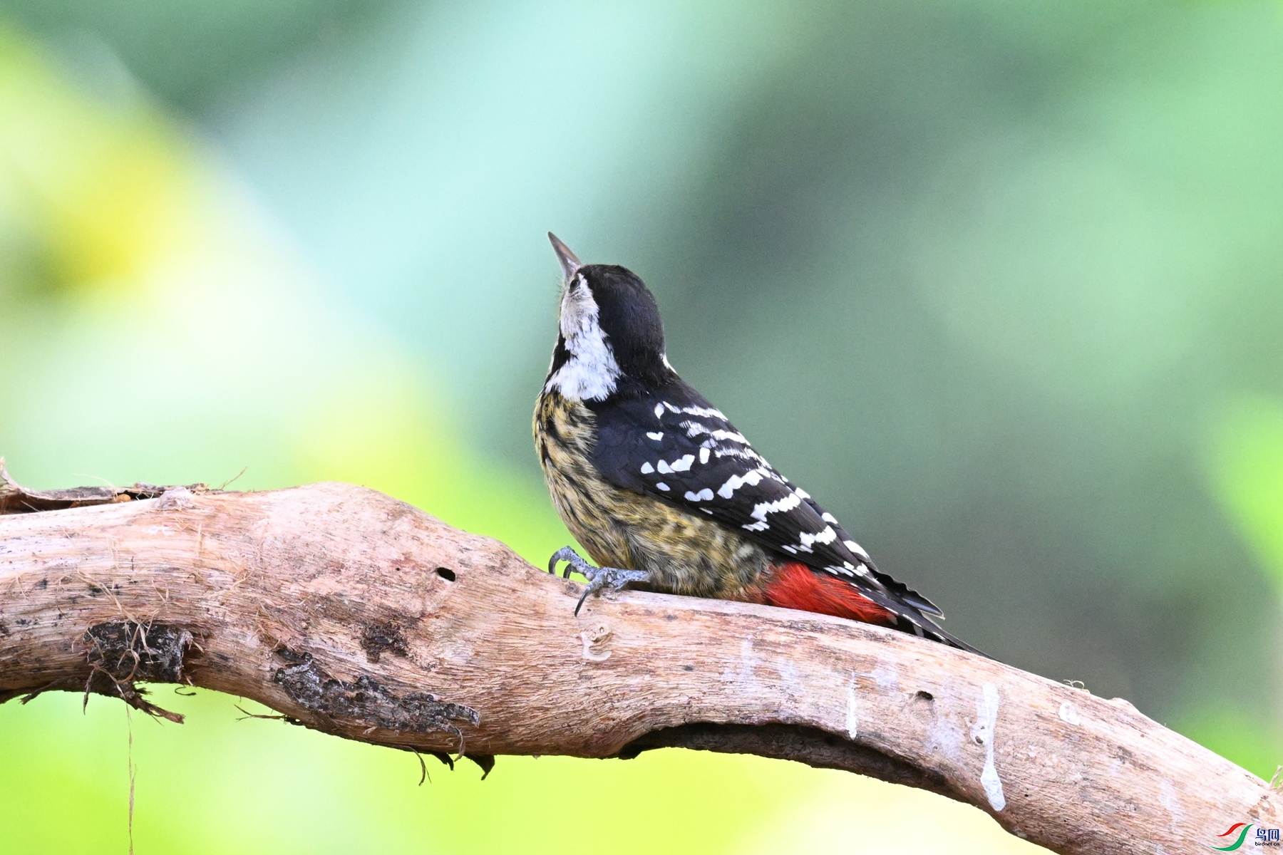 DSC_5661.JPG