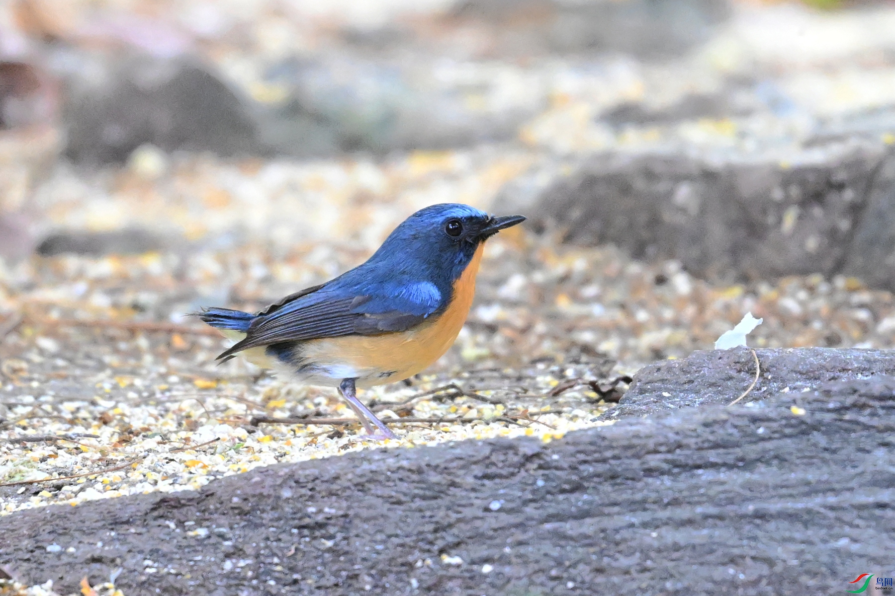 DSC_5636.JPG