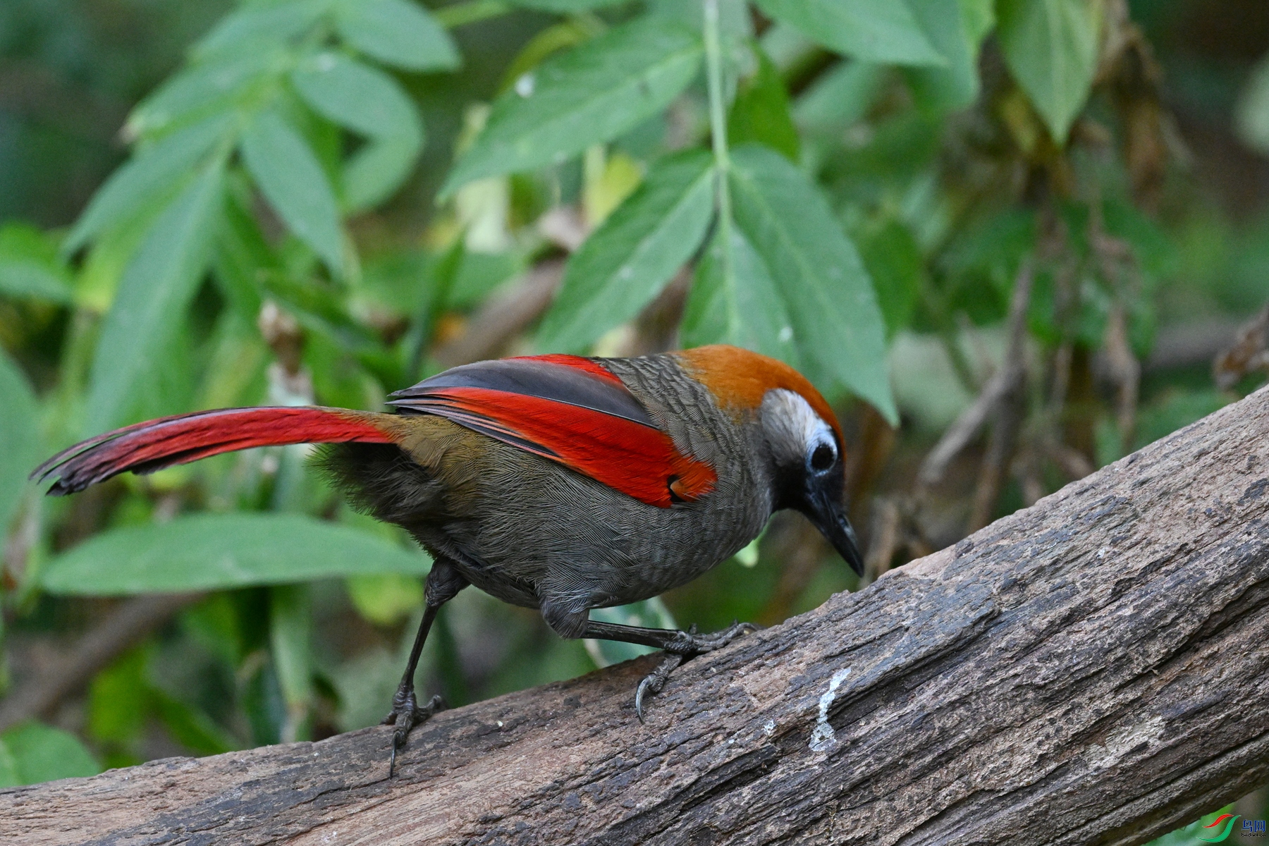DSC_5673.JPG