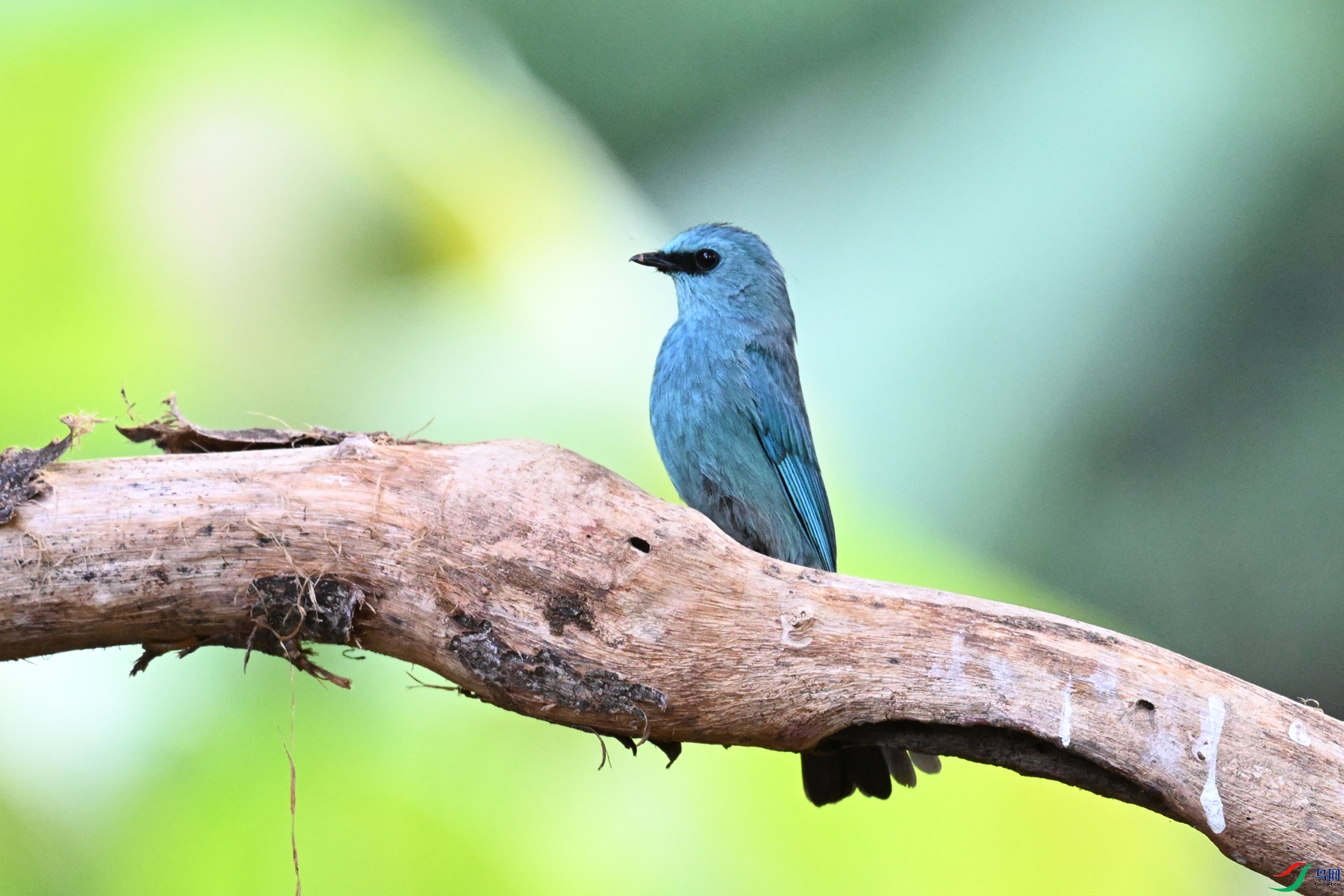 DSC_5679.JPG