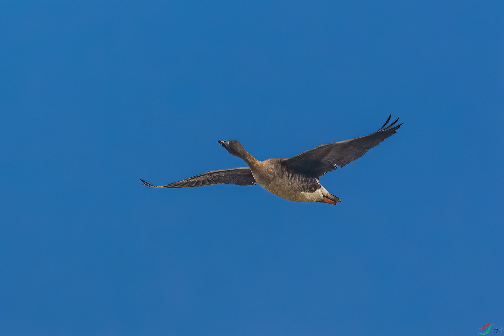 _MG_0324-CR2_(1920)-a.jpg