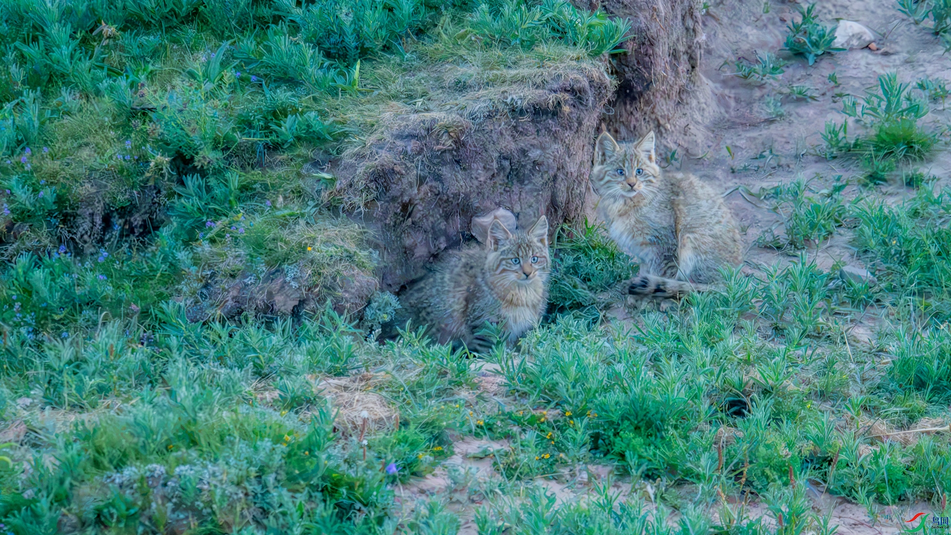 DSC_7491 ����_����.jpg