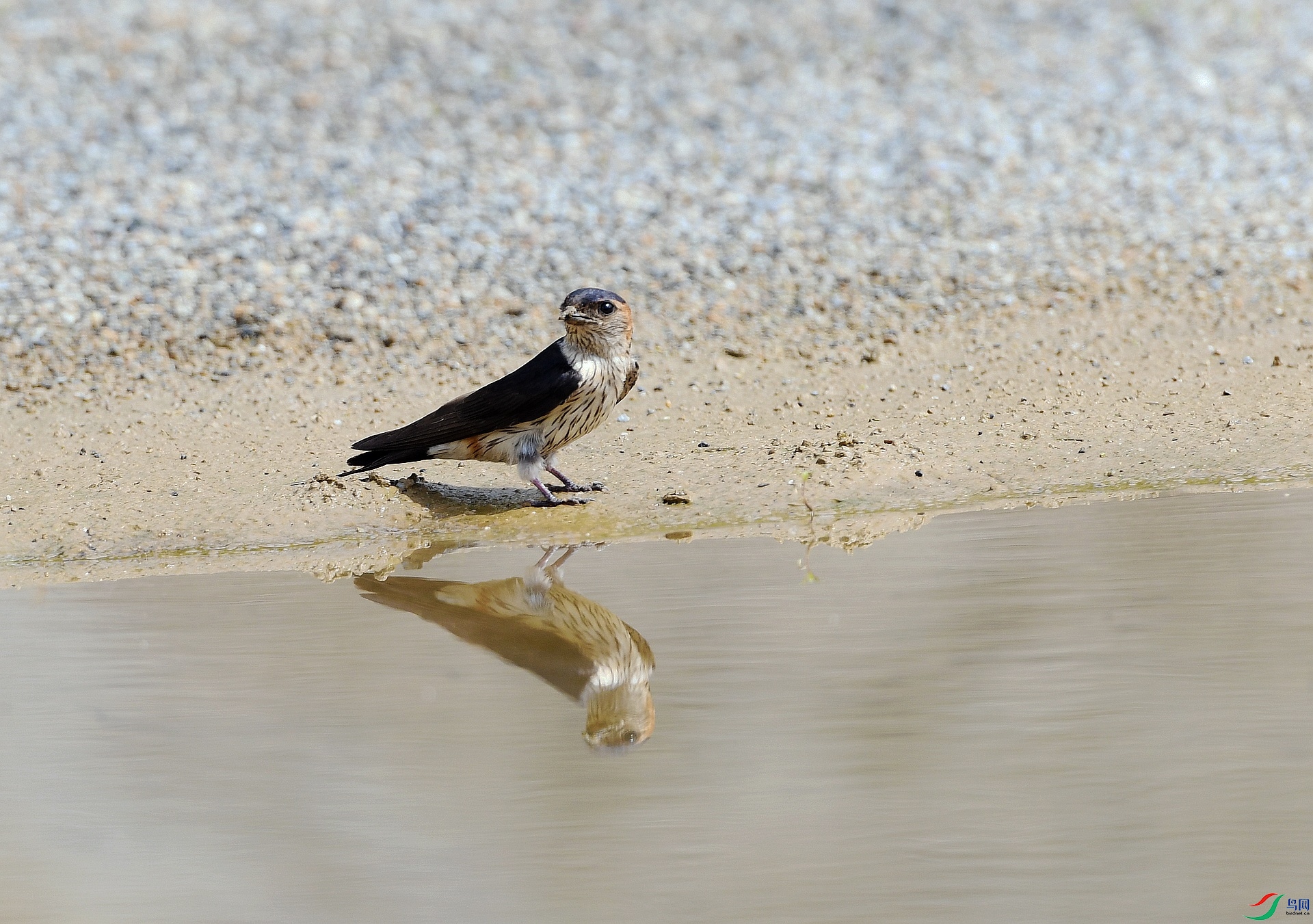 DSC_8451.jpg