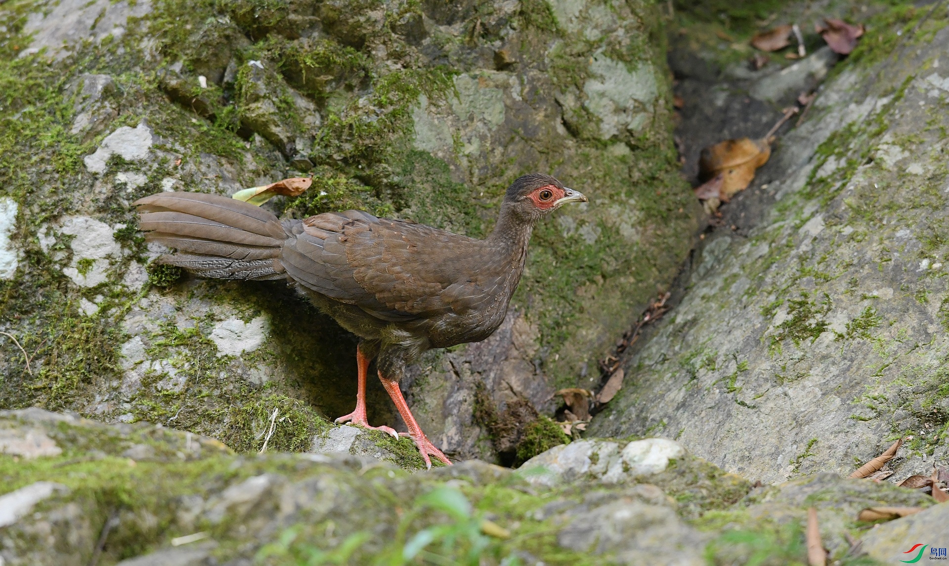 DSC_9759.jpg