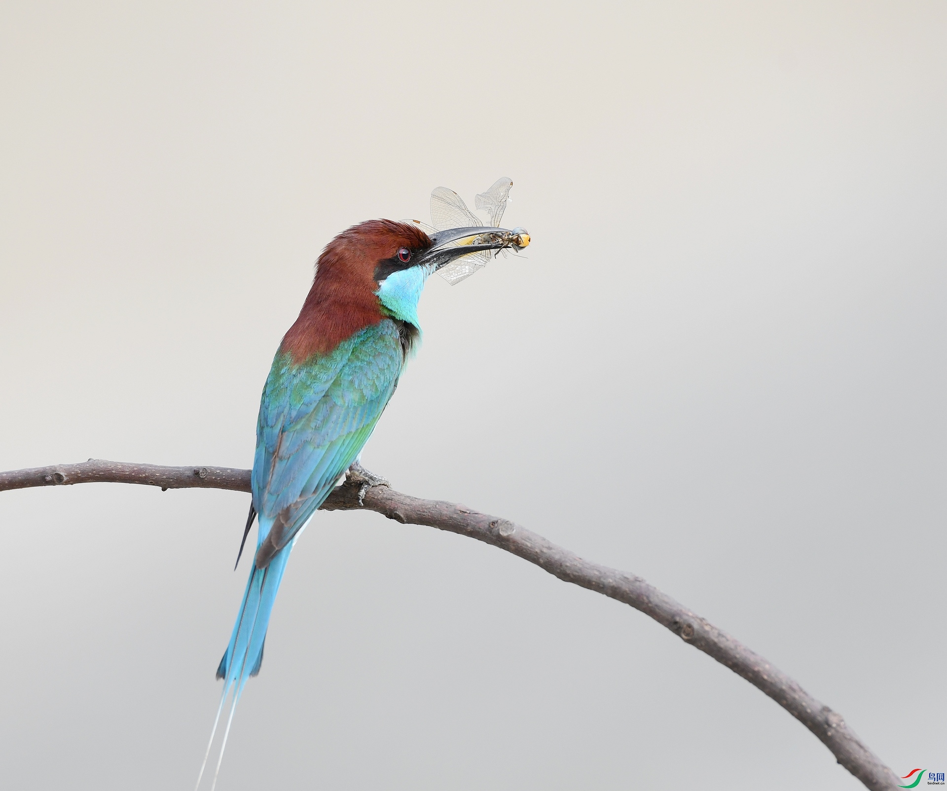 DSC_8691.jpg