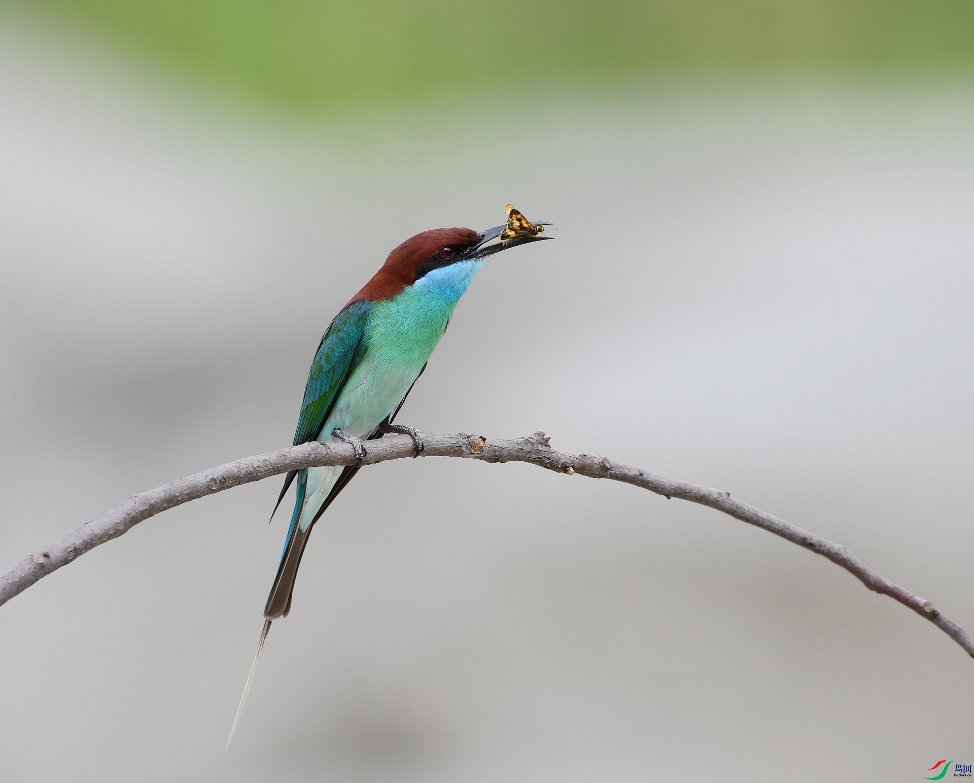DSC_9723.jpg