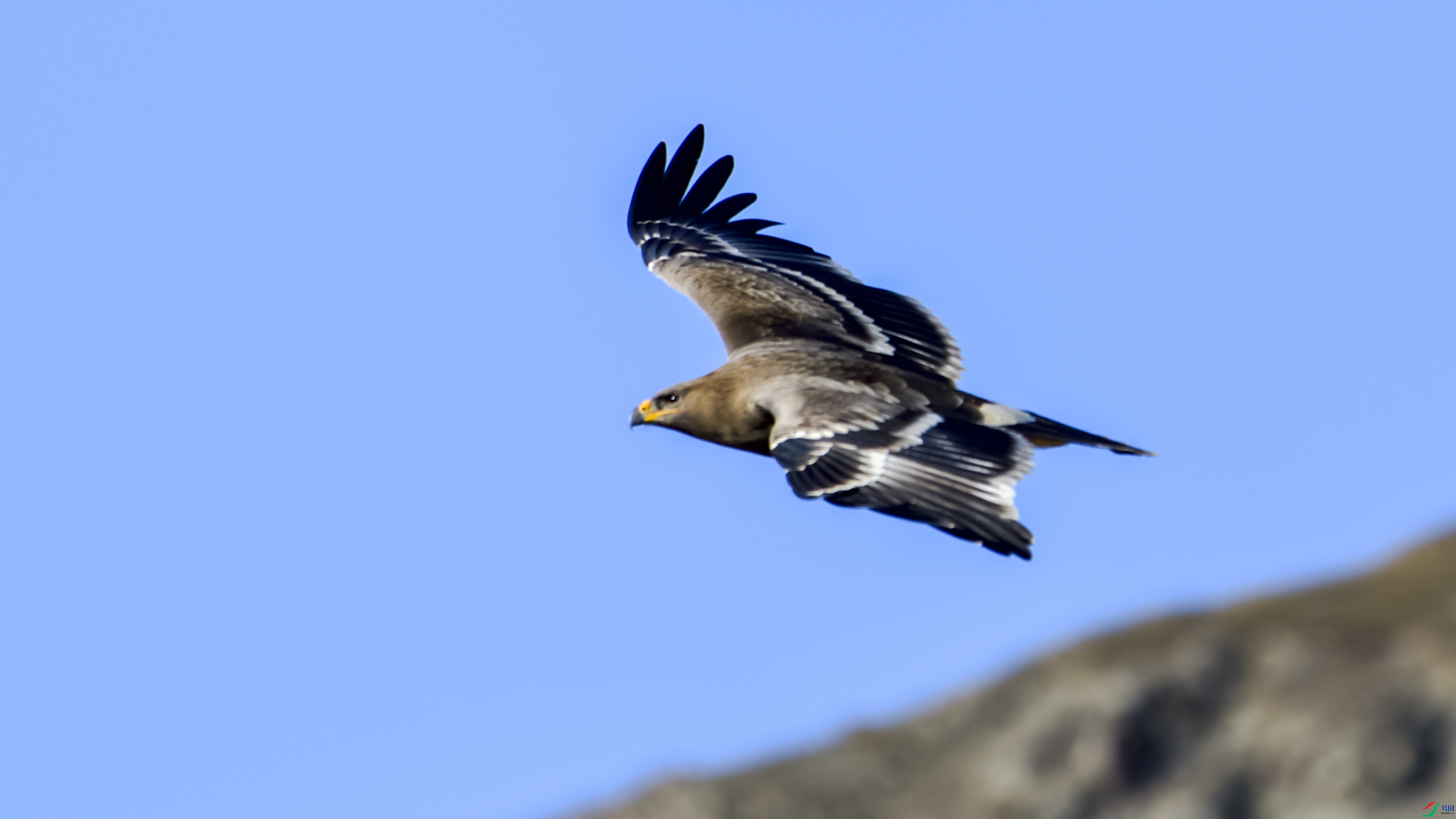 _DSC7679.JPG