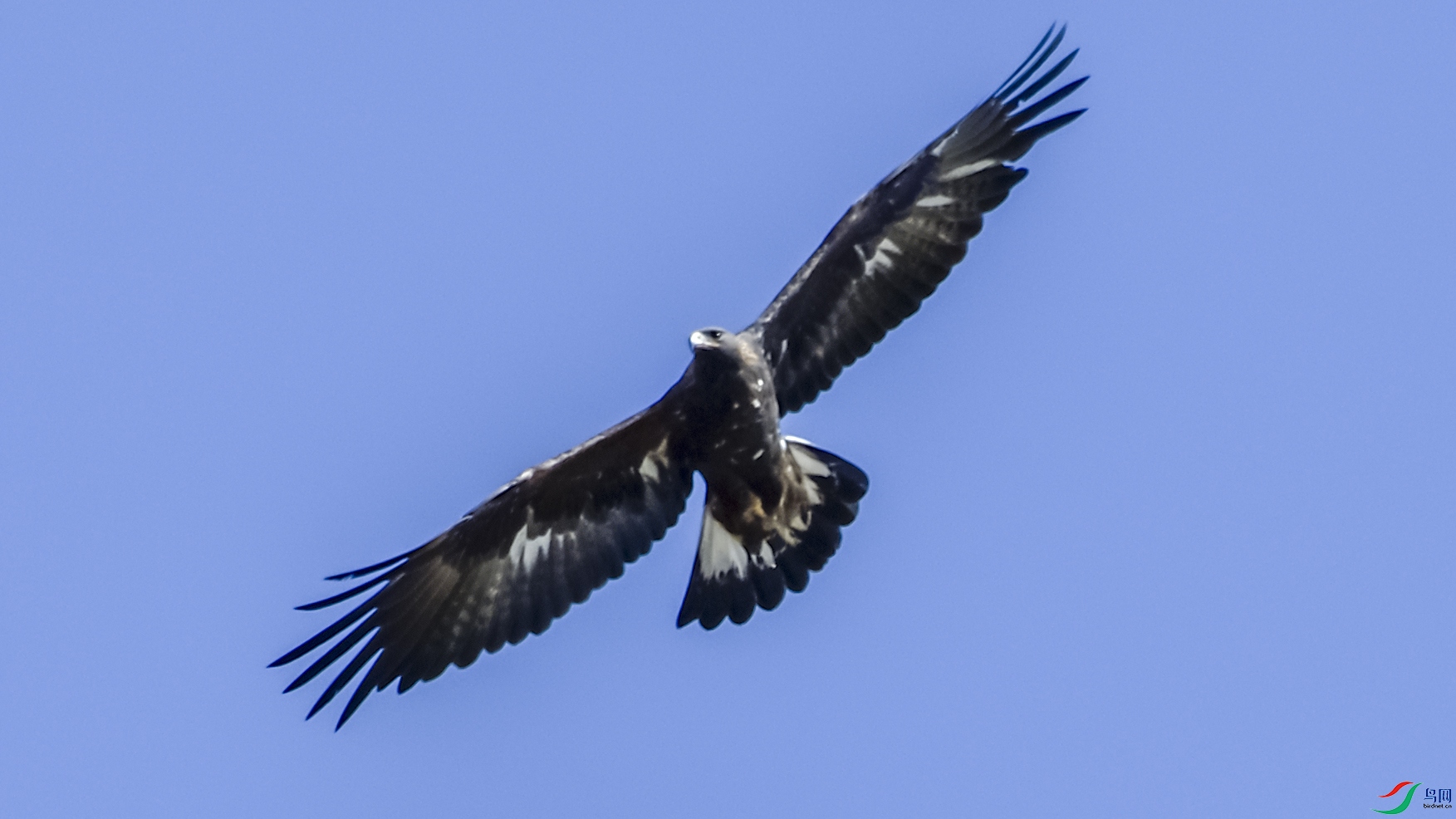 _DSC4534.JPG
