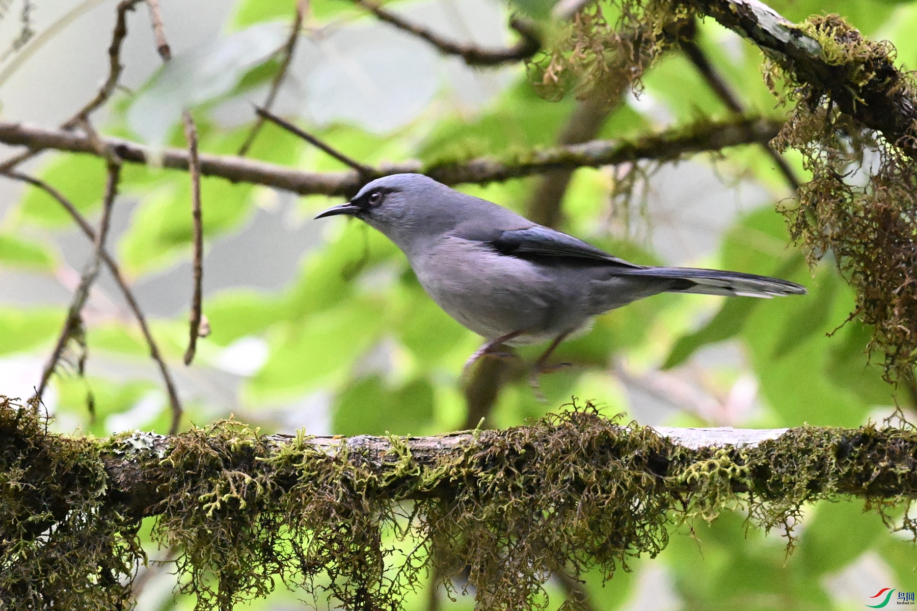 DSC_9846.JPG